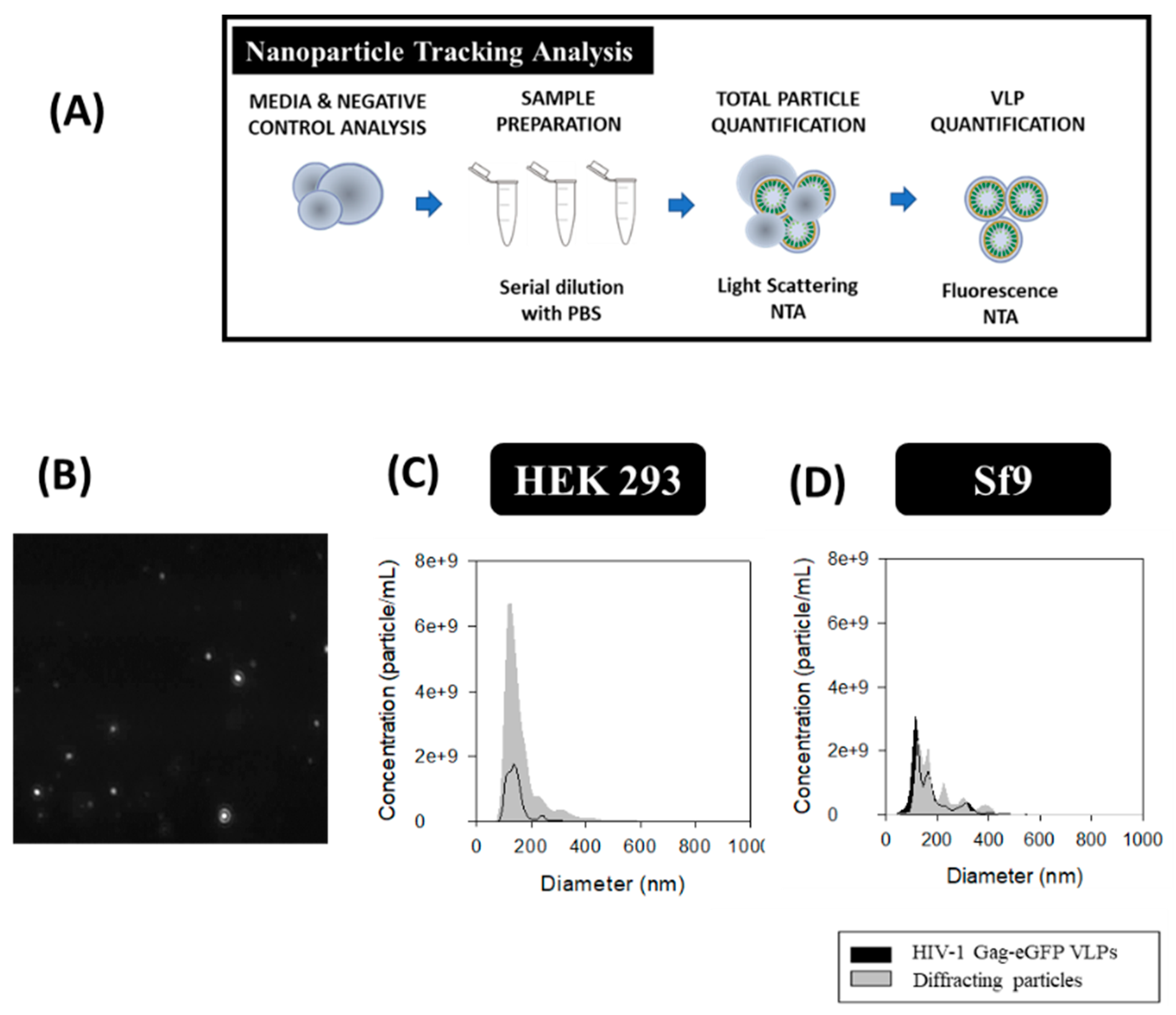 Viruses 12 00223 g005