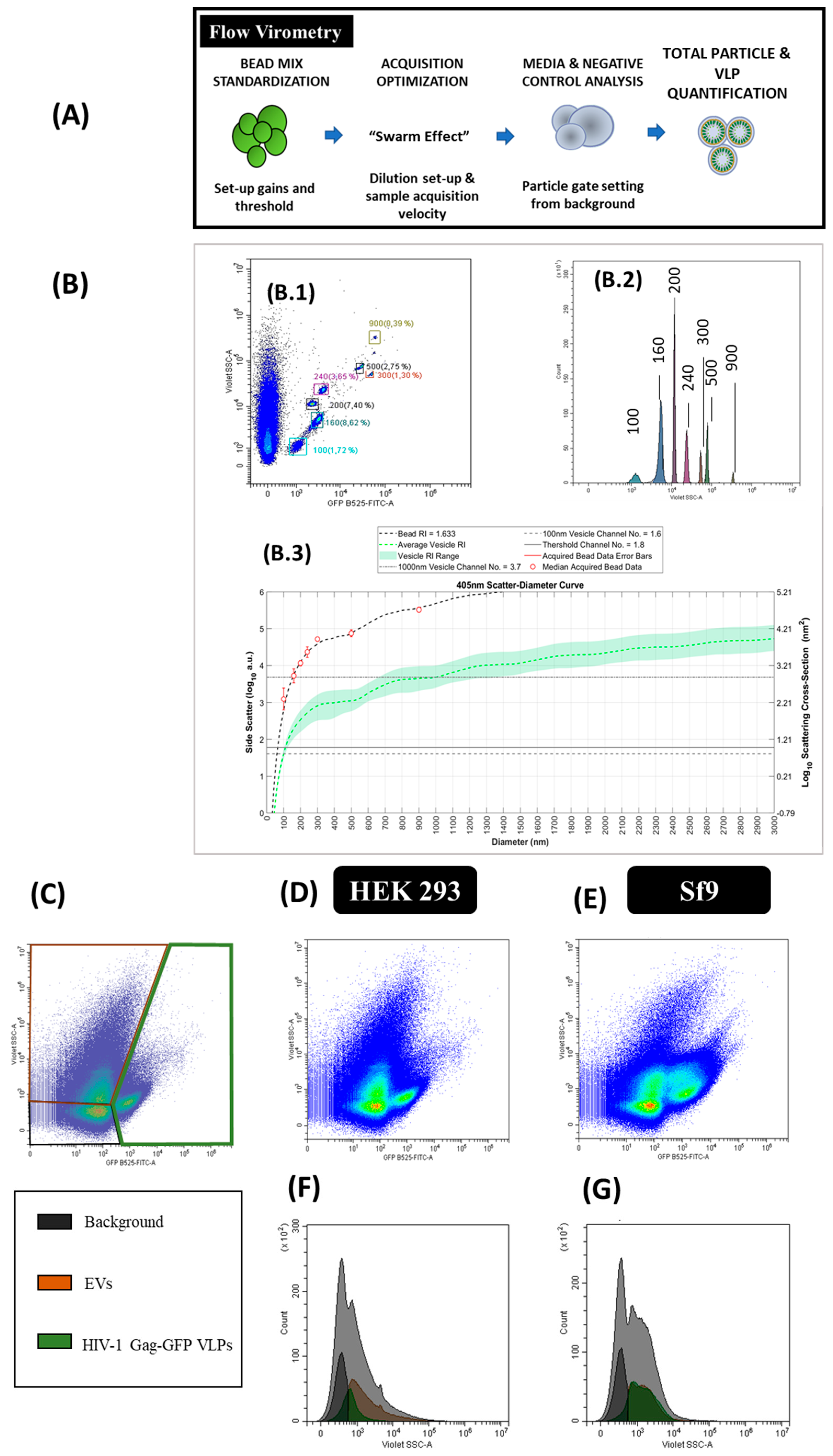 Viruses 12 00223 g006