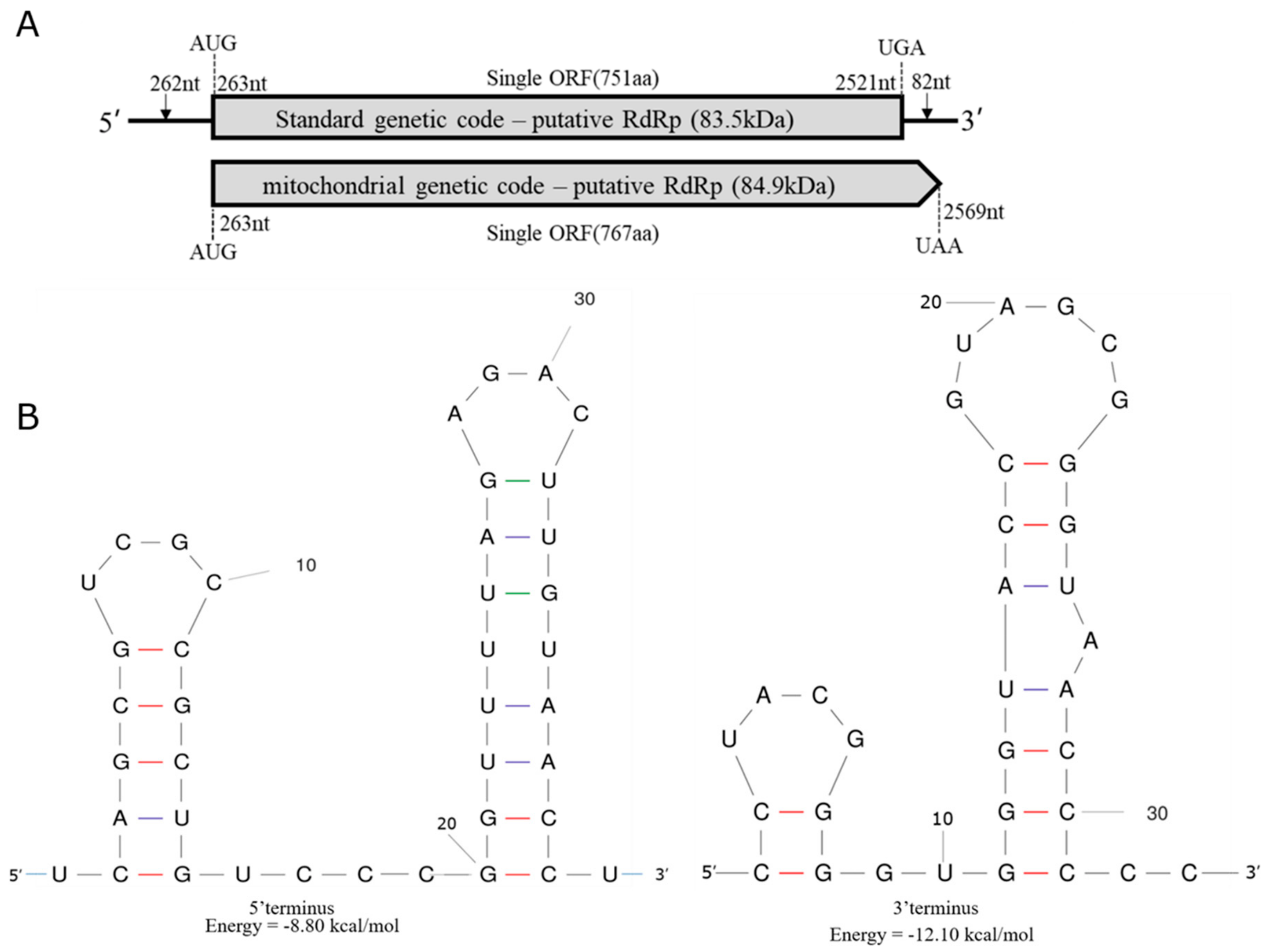 Viruses 12 00231 g001