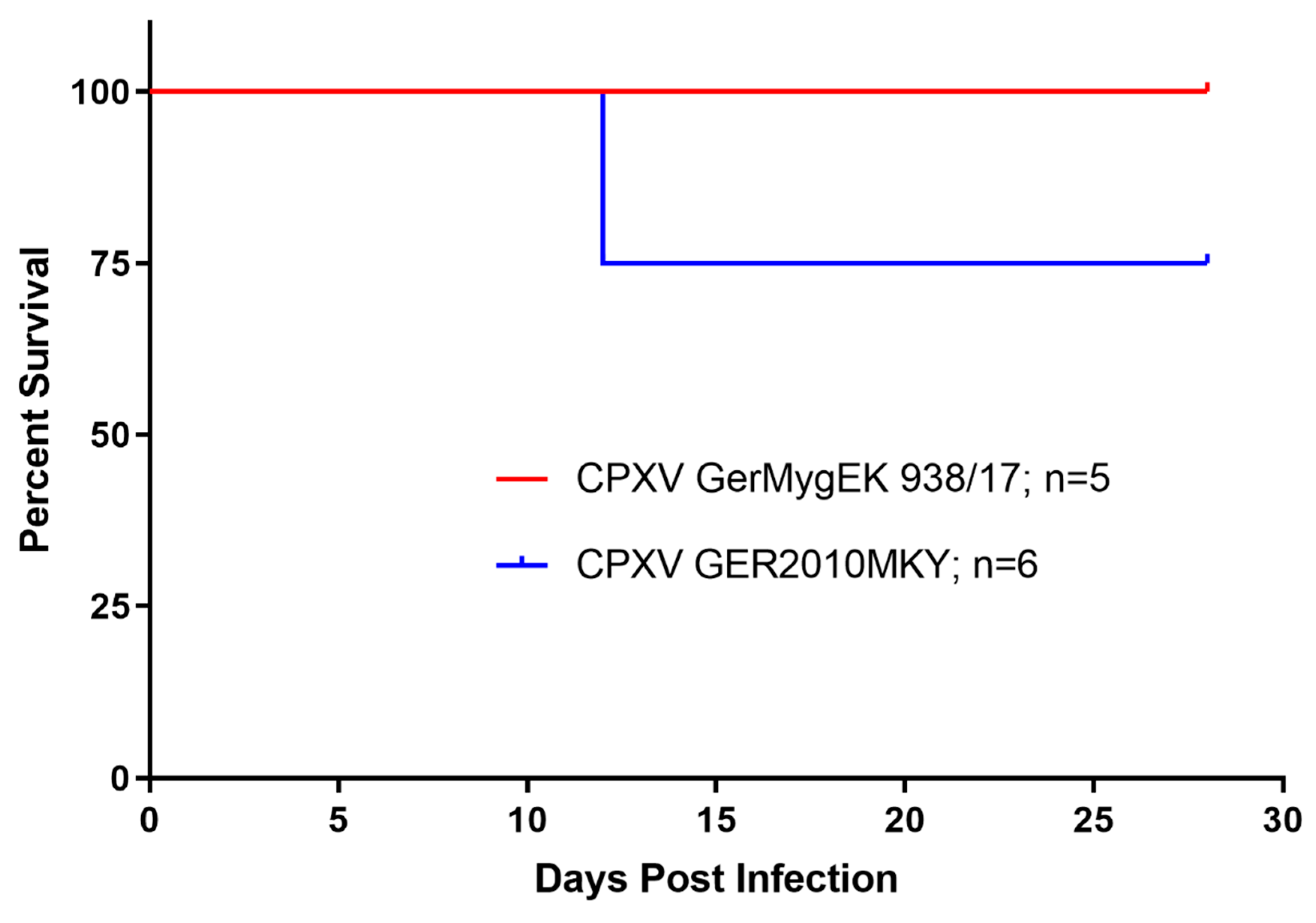 Viruses 12 00237 g003