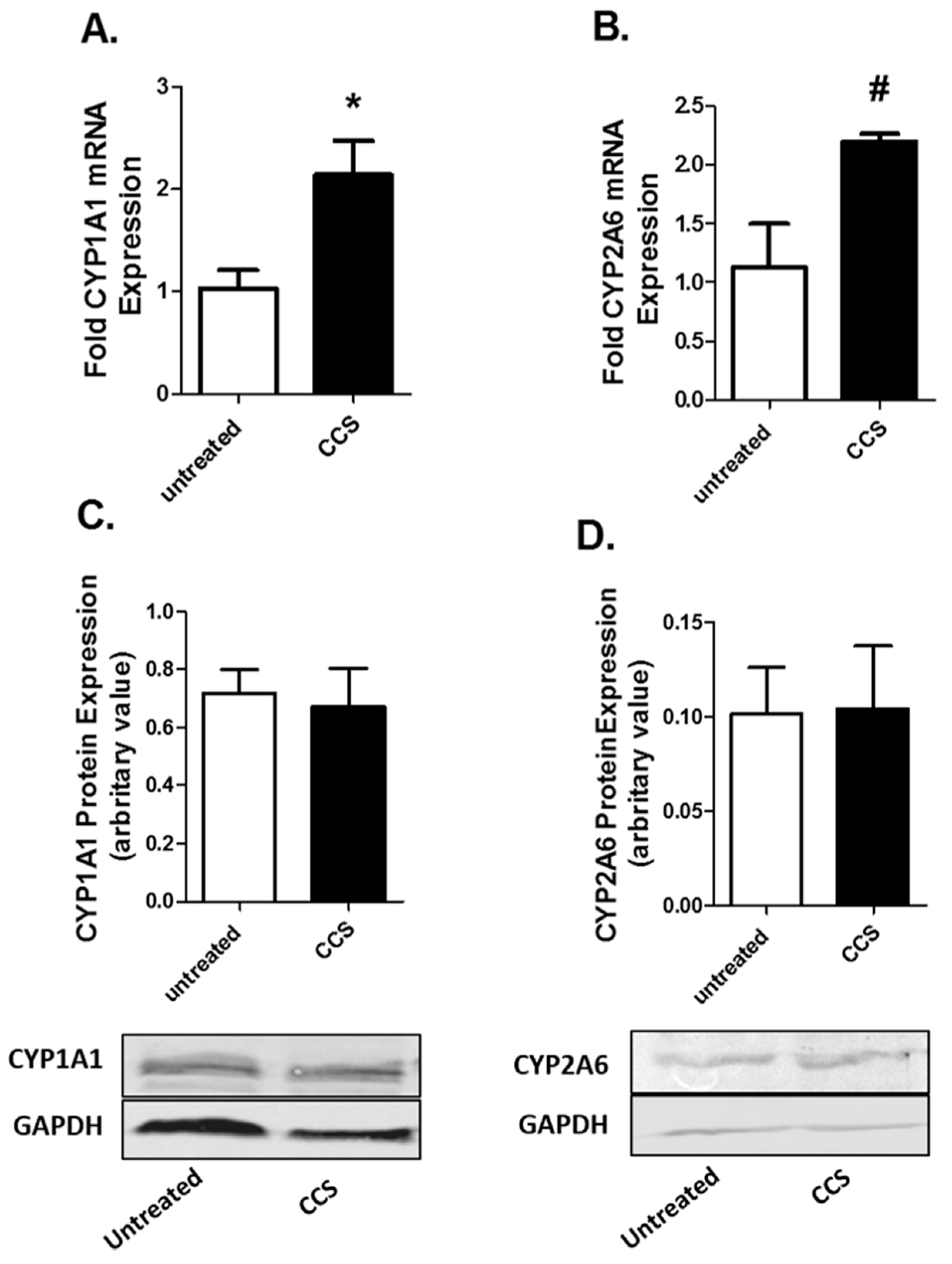 Viruses 12 00239 g002