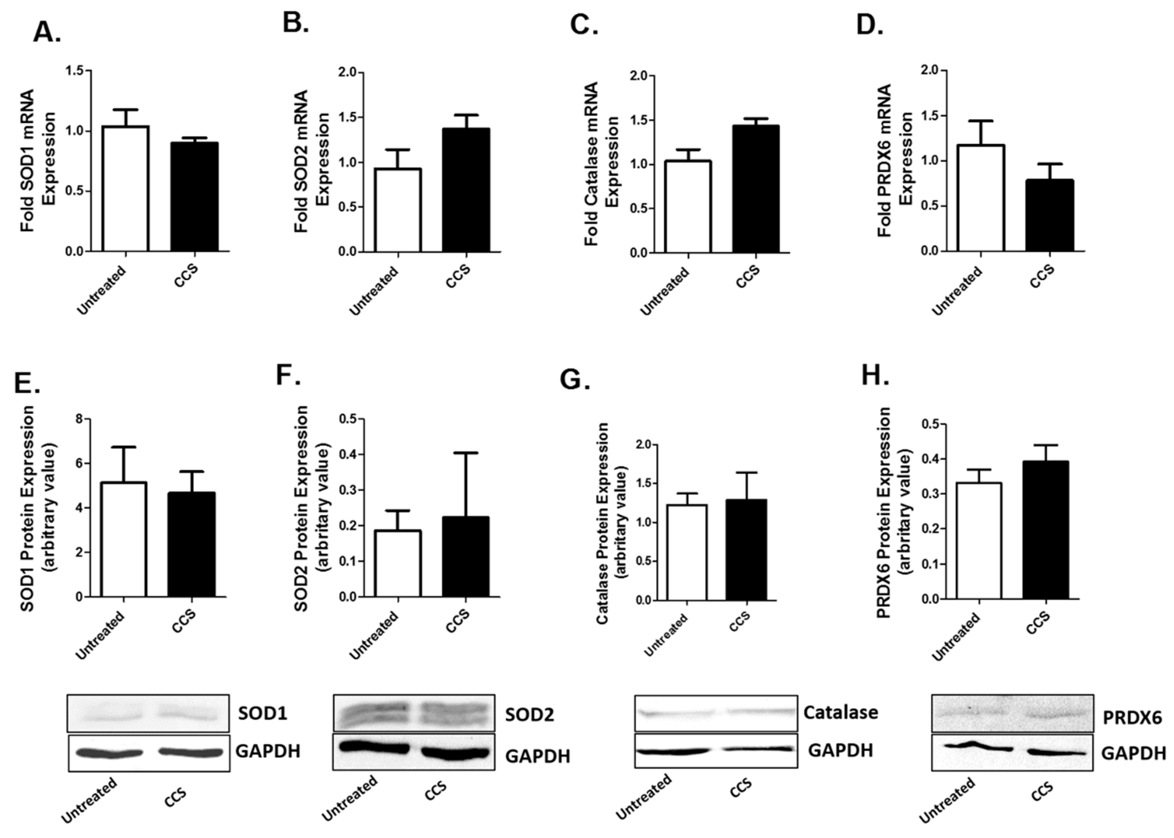Viruses 12 00239 g003