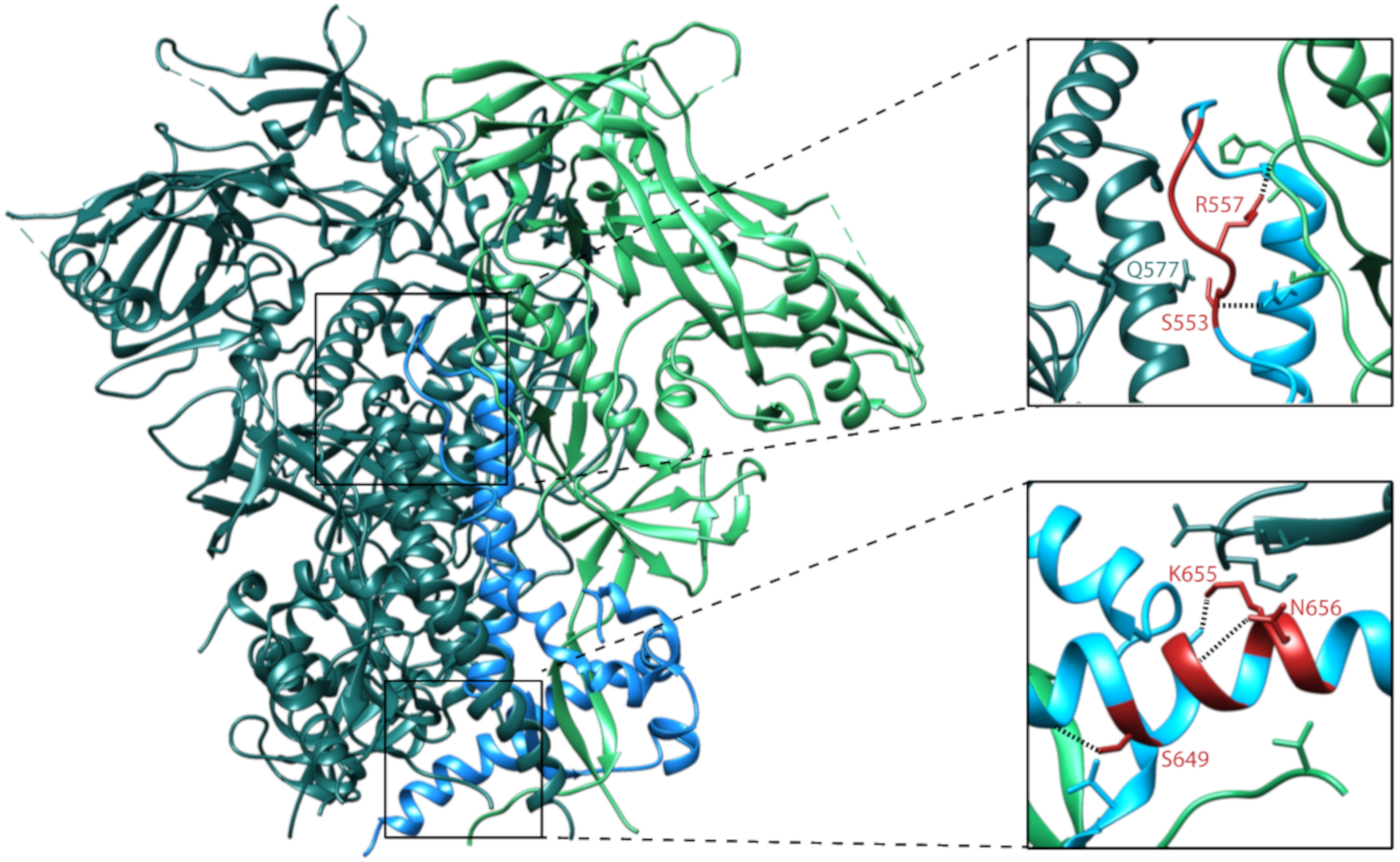 Viruses 12 00241 g007