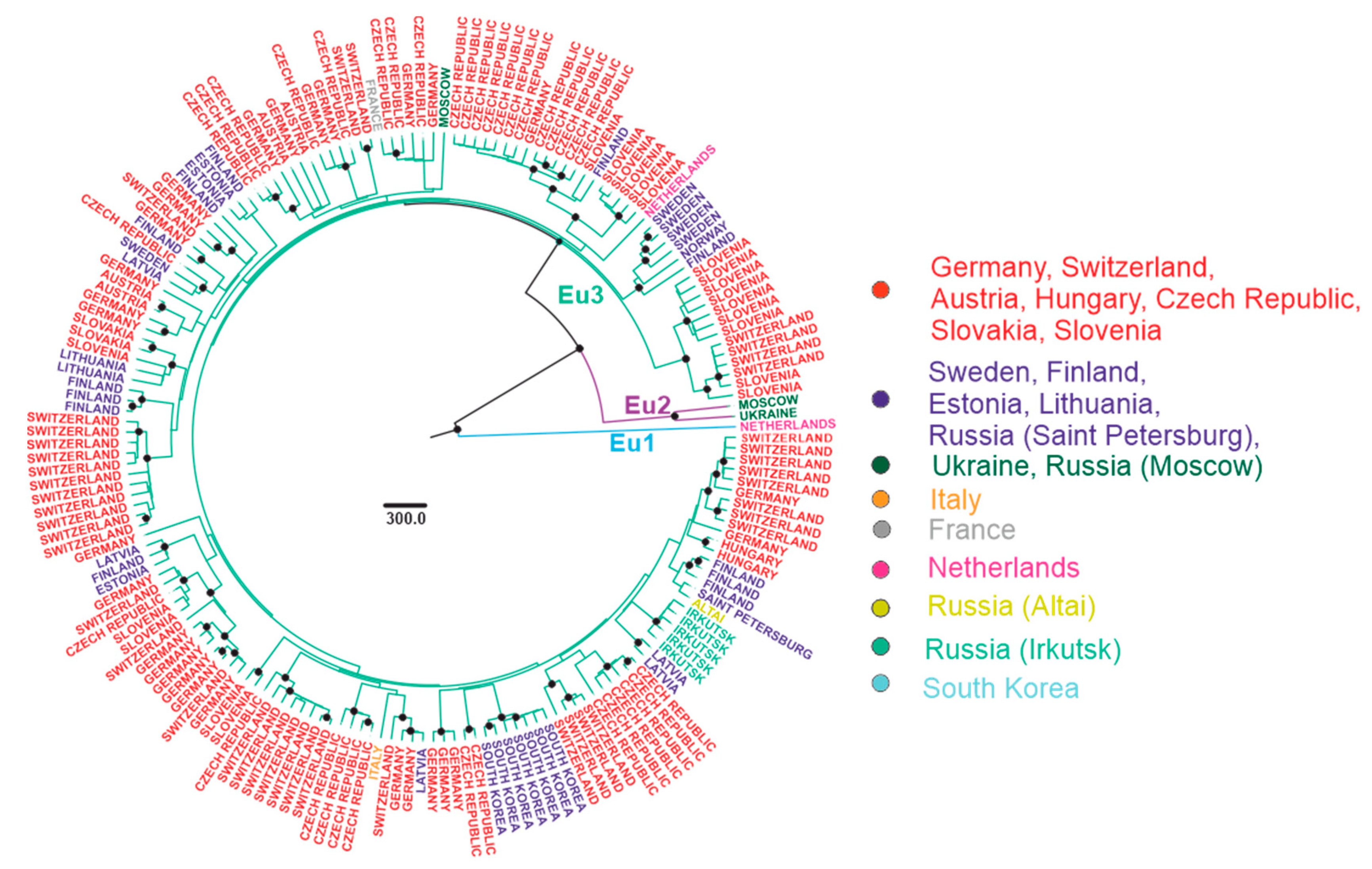 Viruses 12 00247 g005