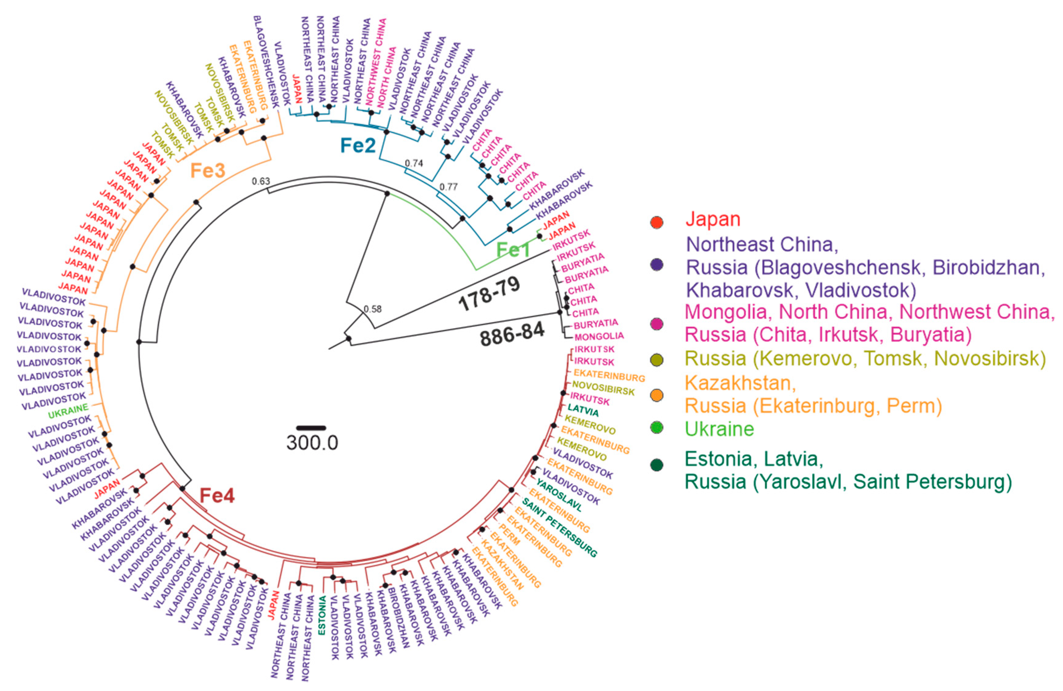 Viruses 12 00247 g007
