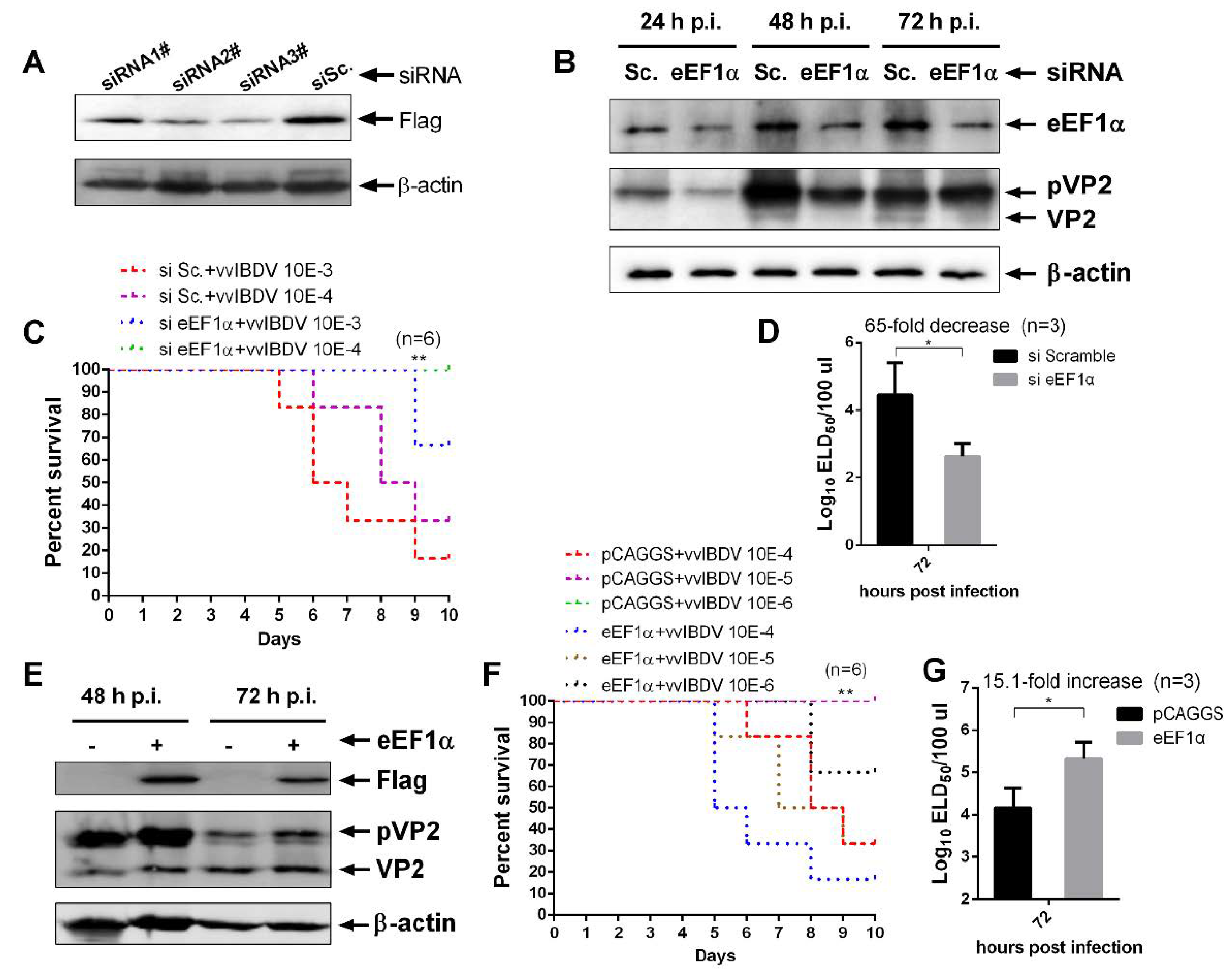 Viruses 12 00249 g002