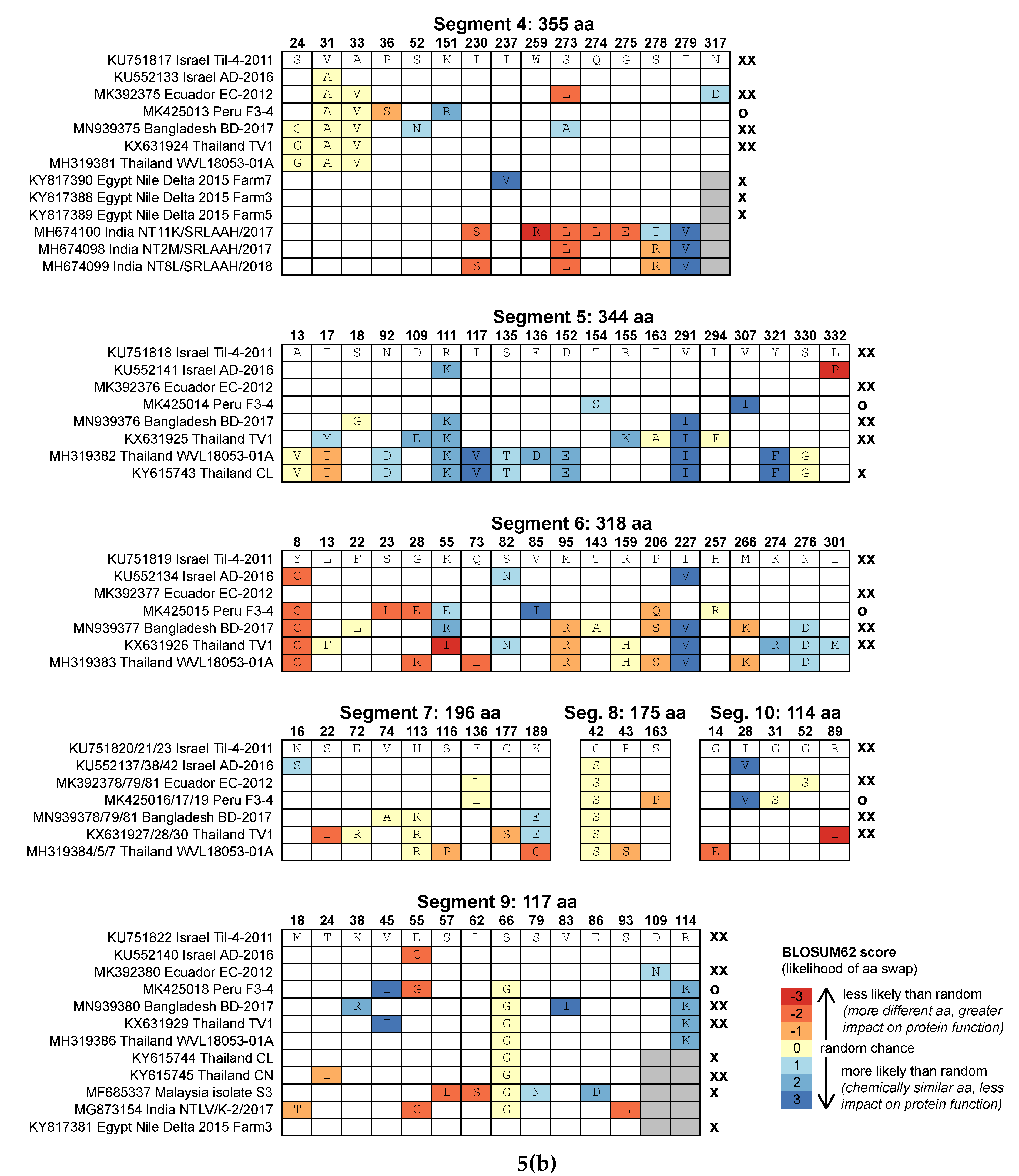 Viruses 12 00258 g005b Viruses 12 00258 g005b