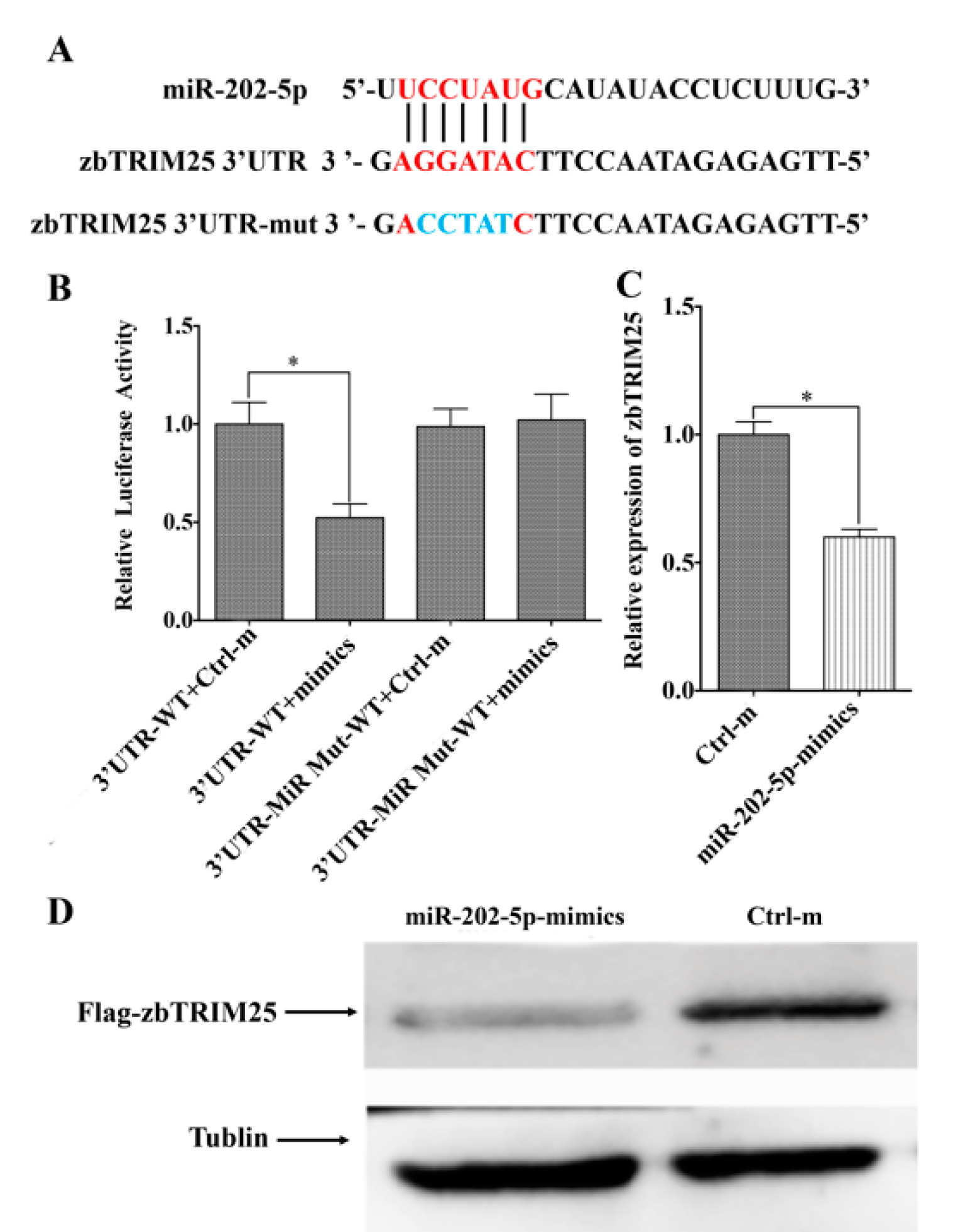 Viruses 12 00261 g004