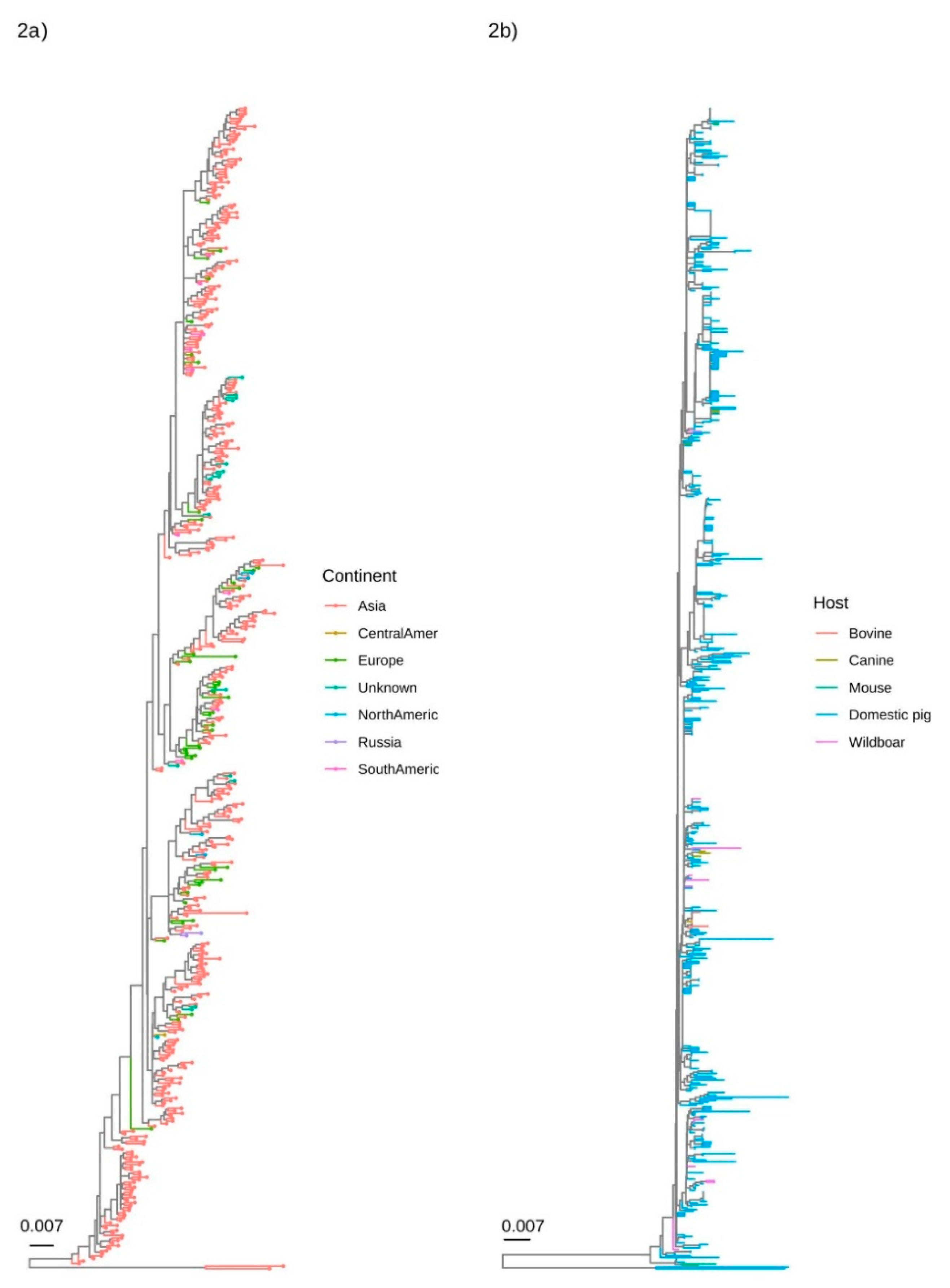 Viruses 12 00265 g002 Viruses 12 00265 g002