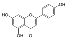 Viruses 12 00272 i002