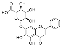 Viruses 12 00272 i004
