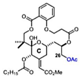 Viruses 12 00272 i007