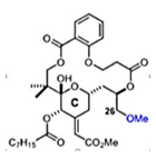 Viruses 12 00272 i008