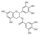 Viruses 12 00272 i011
