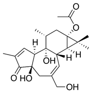 Viruses 12 00272 i017