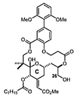 Viruses 12 00272 i020