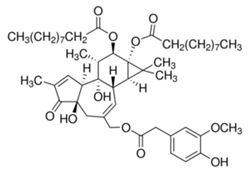 Viruses 12 00272 i024