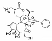 Viruses 12 00272 i025