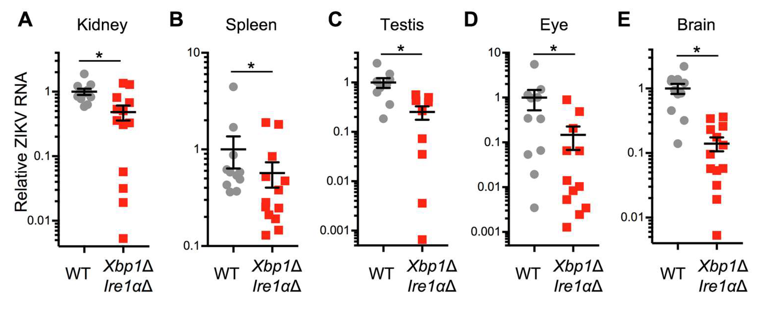 Viruses 12 00278 g006