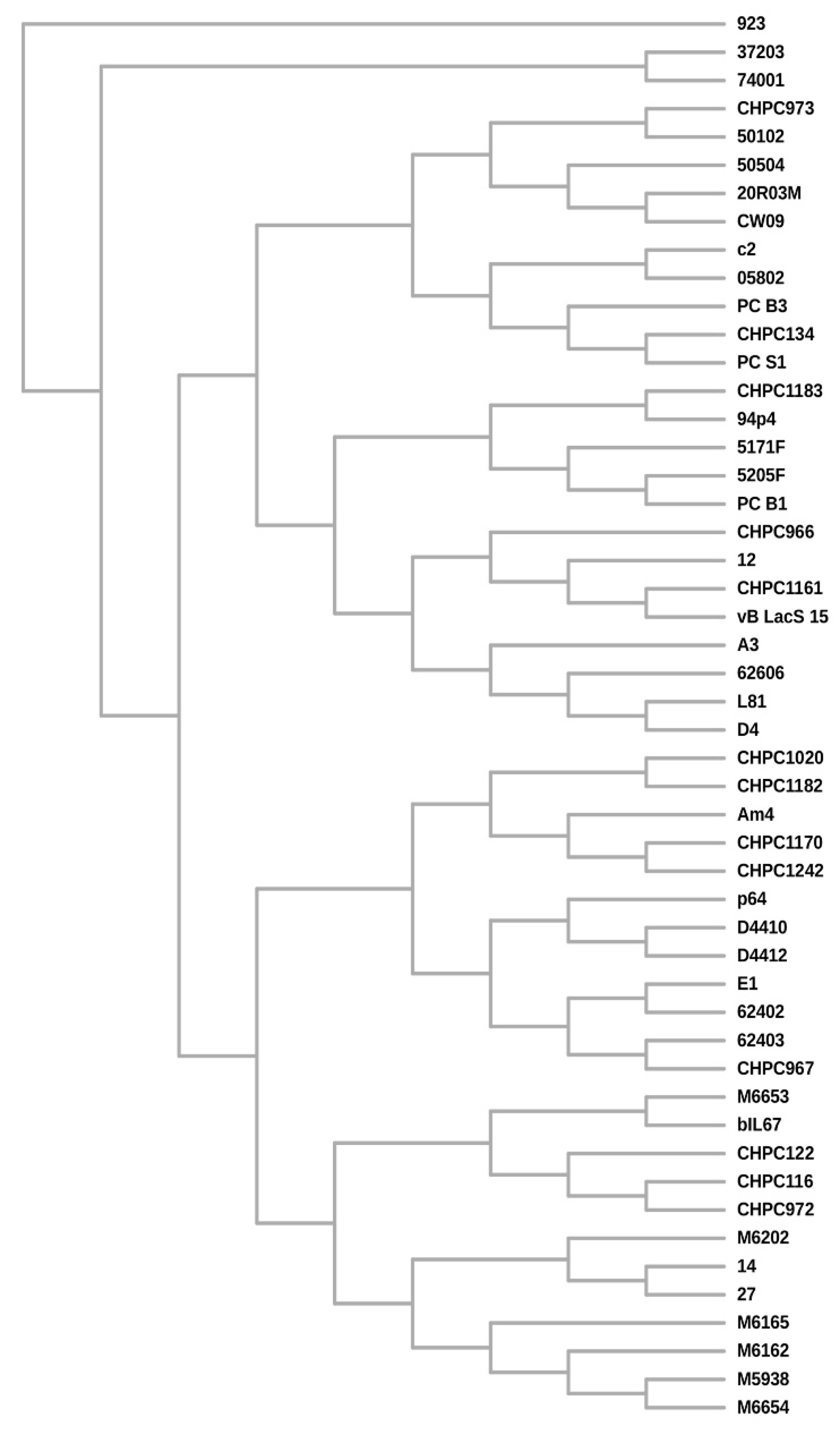 Viruses 12 00280 g006 Viruses 12 00280 g006