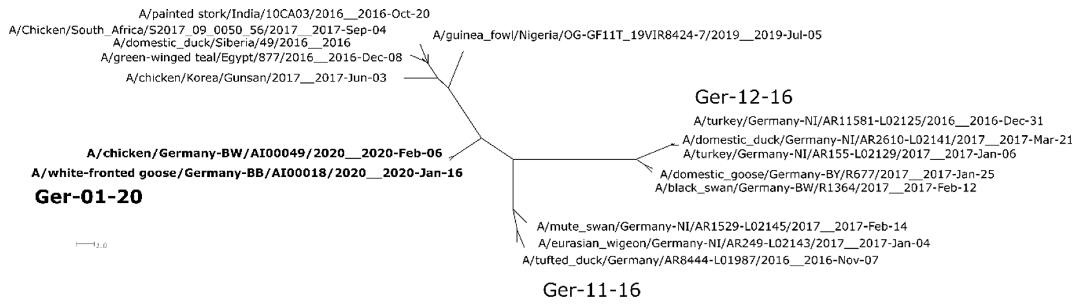 Viruses 12 00281 g002 Viruses 12 00281 g002