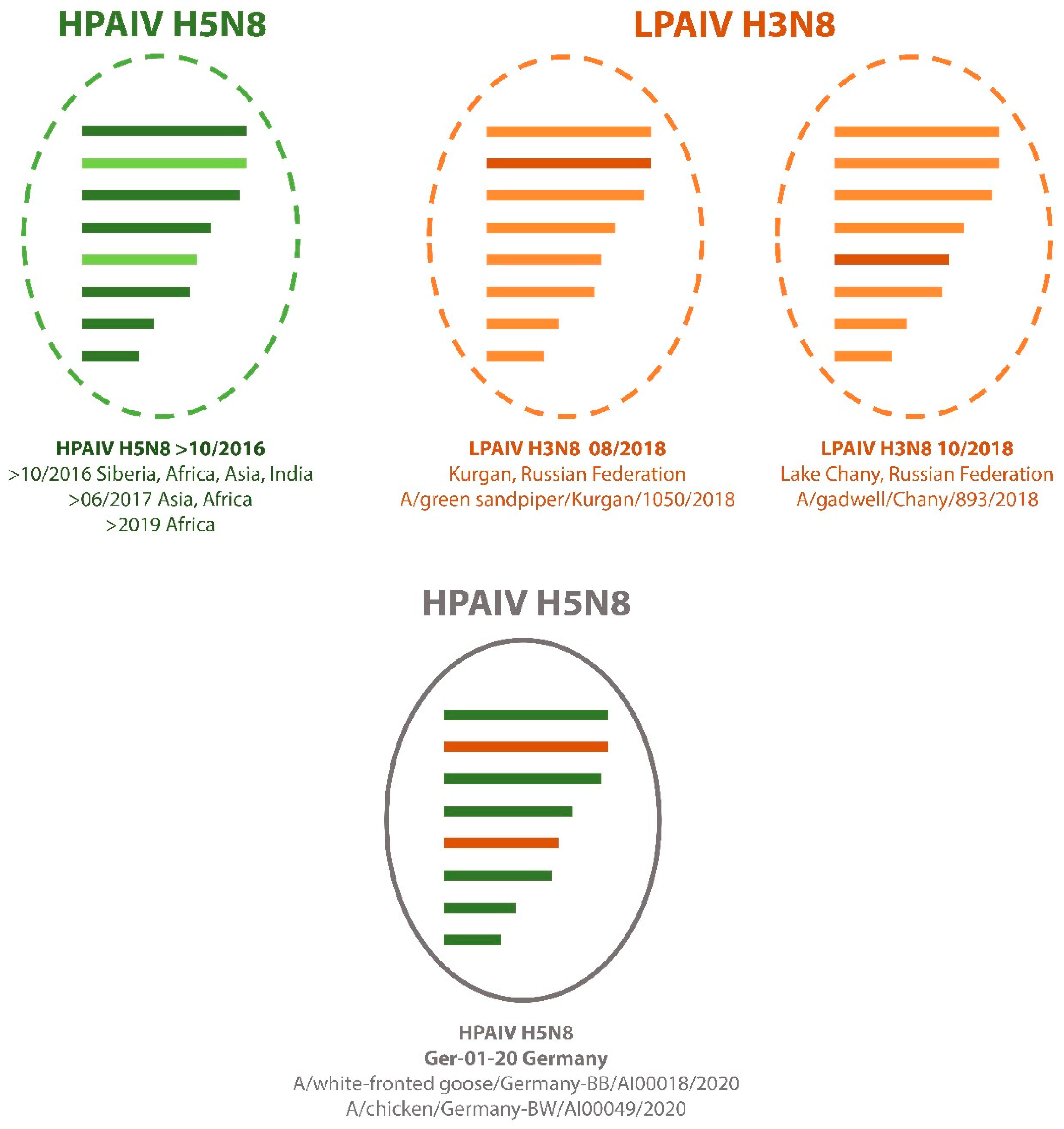 Viruses 12 00281 g003 Viruses 12 00281 g003