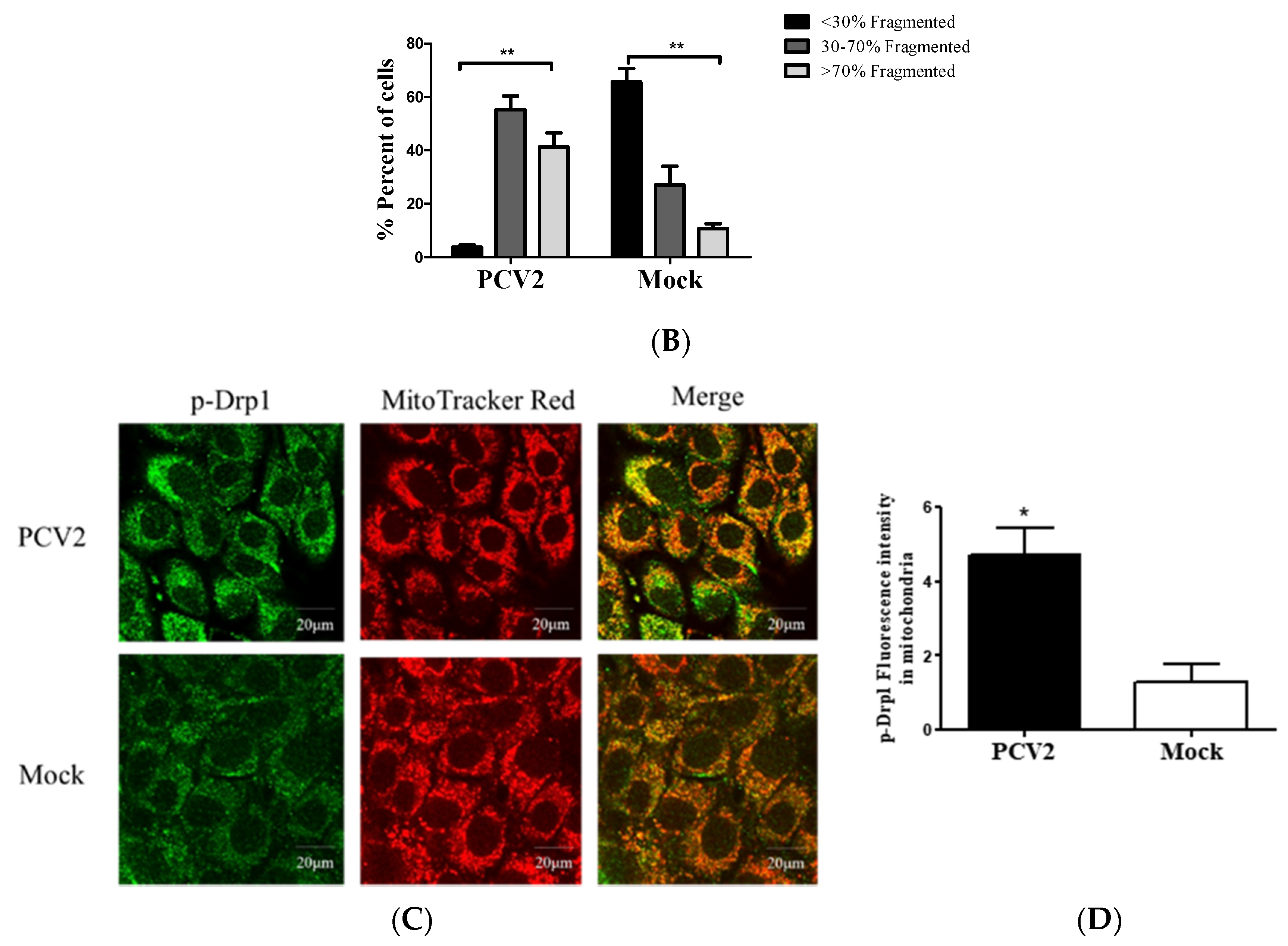 Viruses 12 00289 g002b