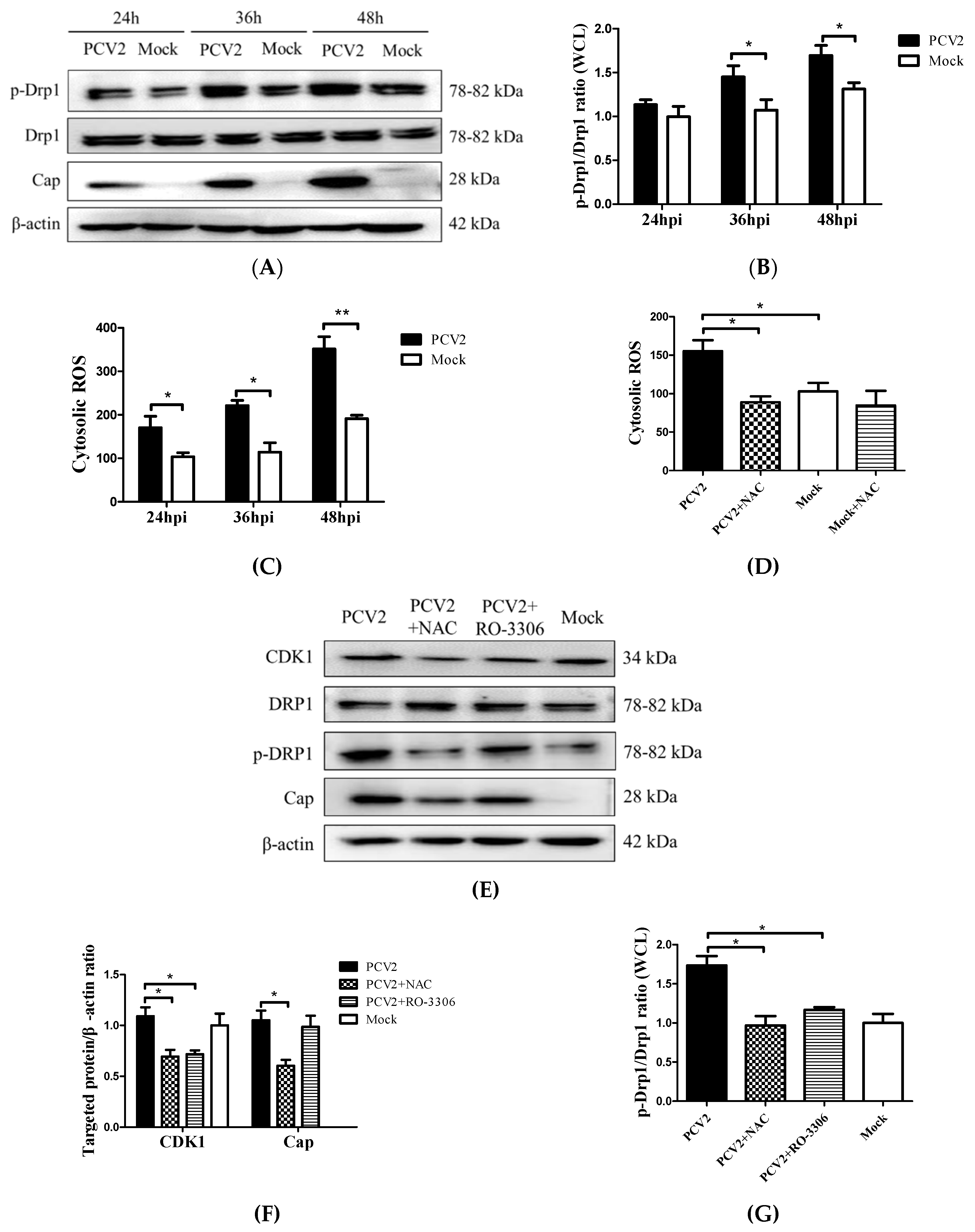Viruses 12 00289 g004