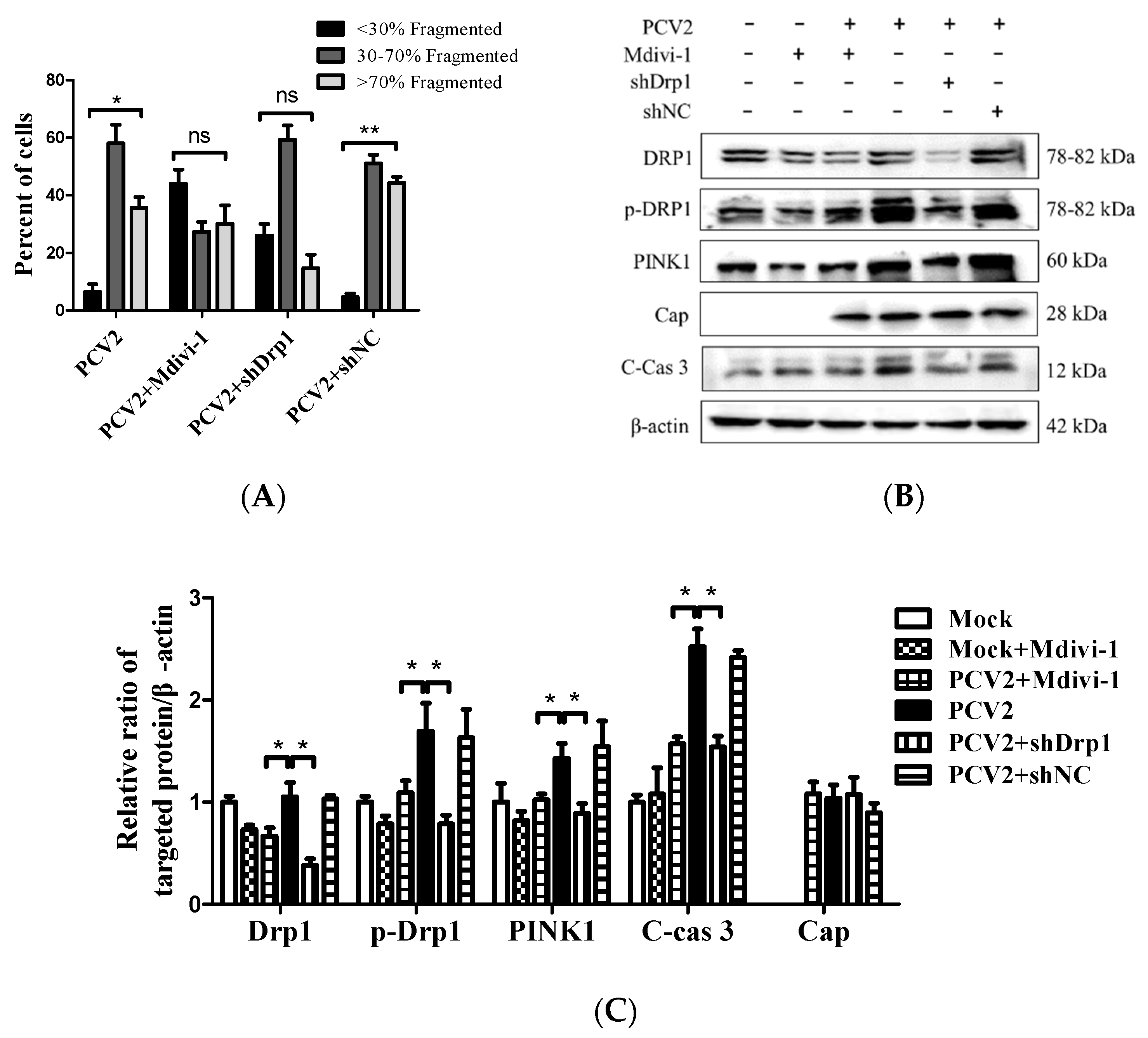 Viruses 12 00289 g007a