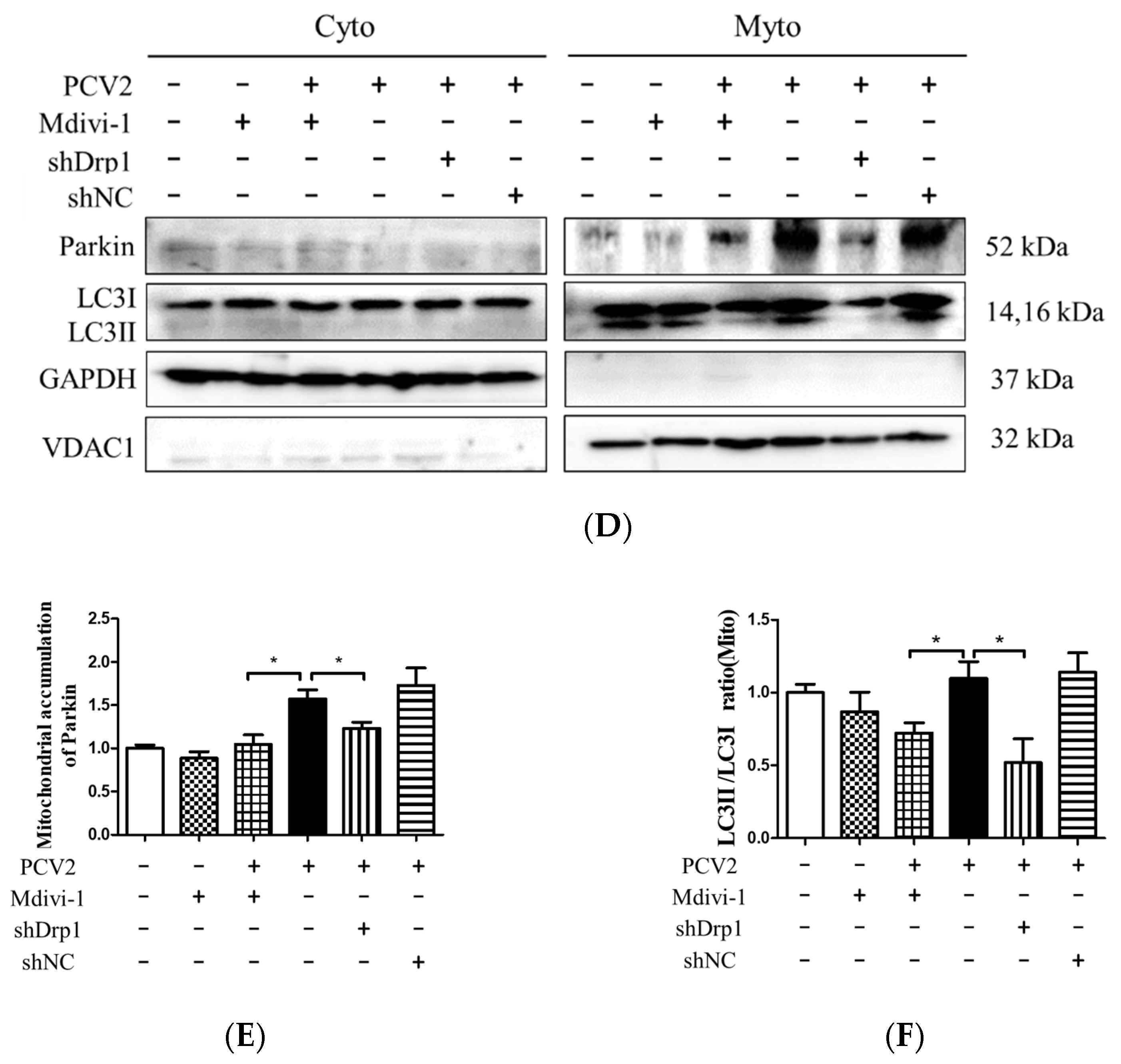 Viruses 12 00289 g007b