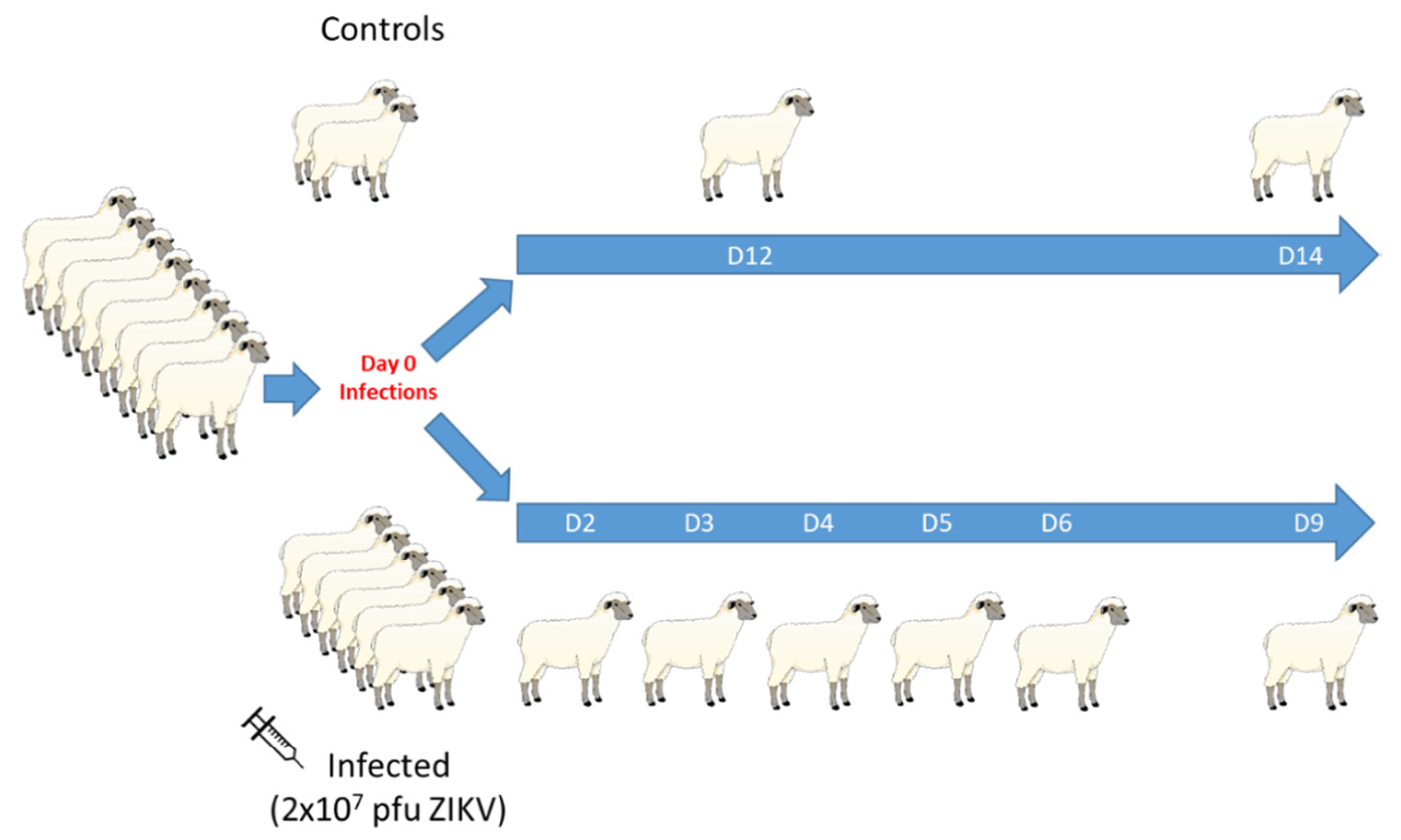 Viruses 12 00291 g002