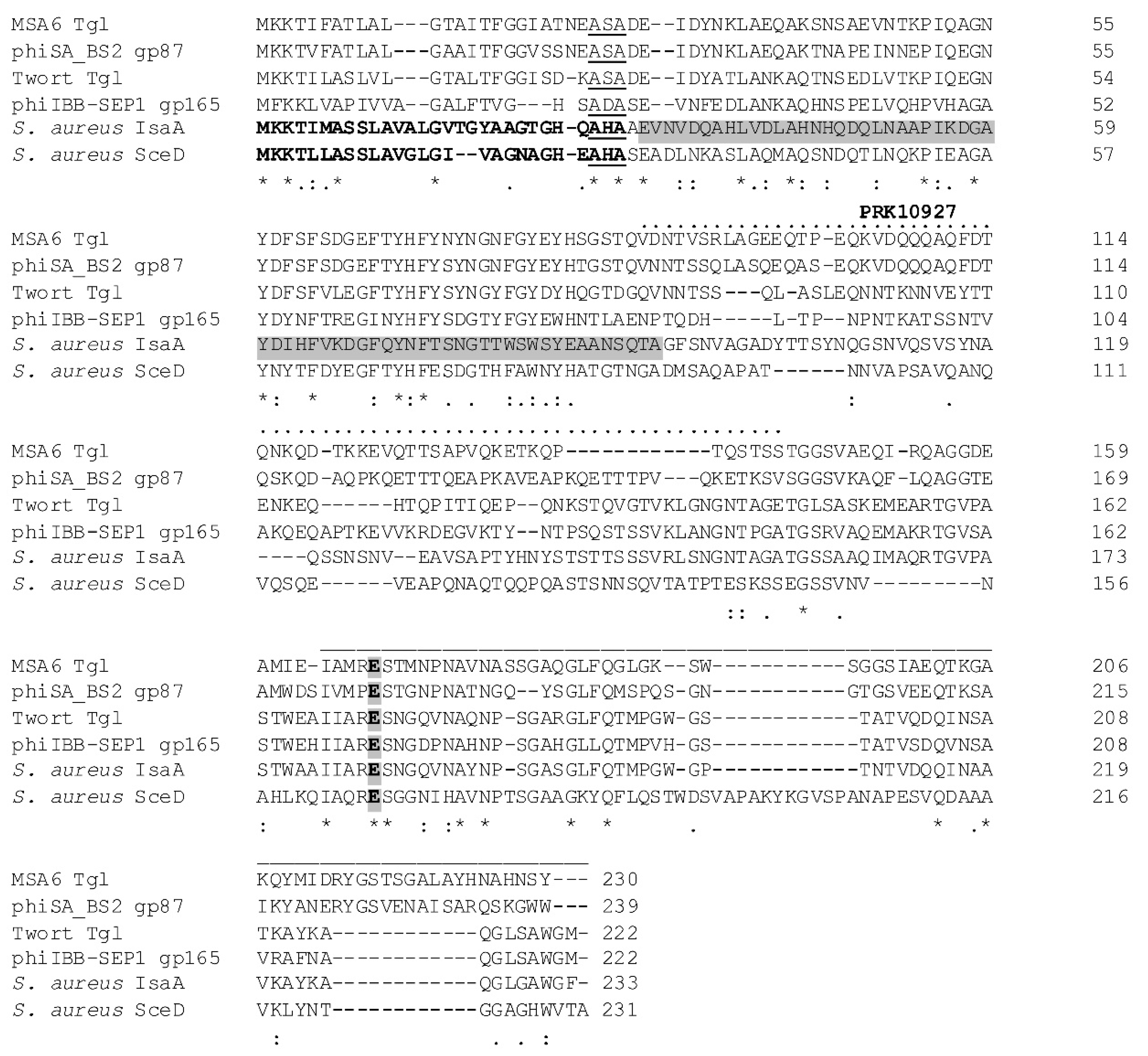 Viruses 12 00292 g001