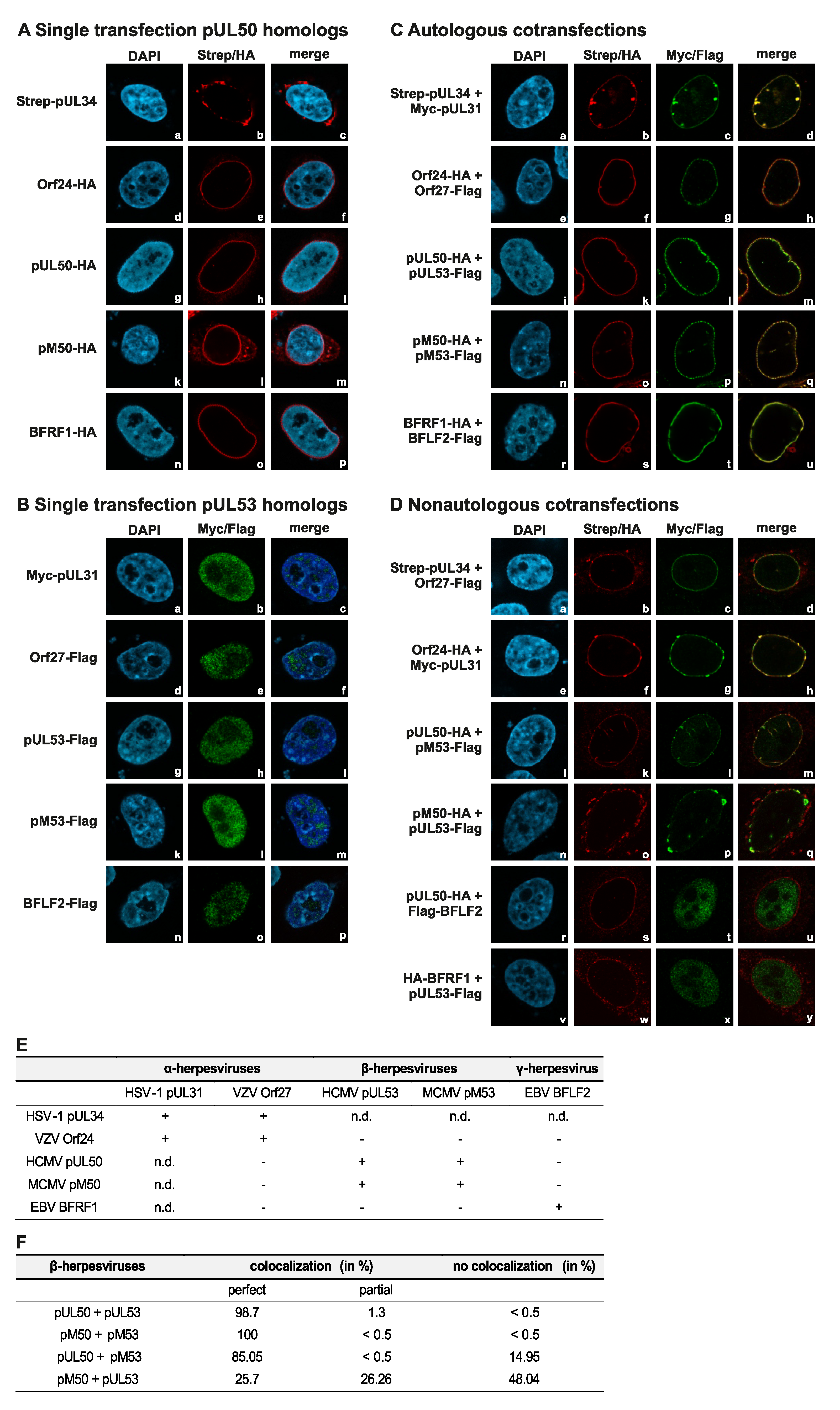 Viruses 12 00303 g004