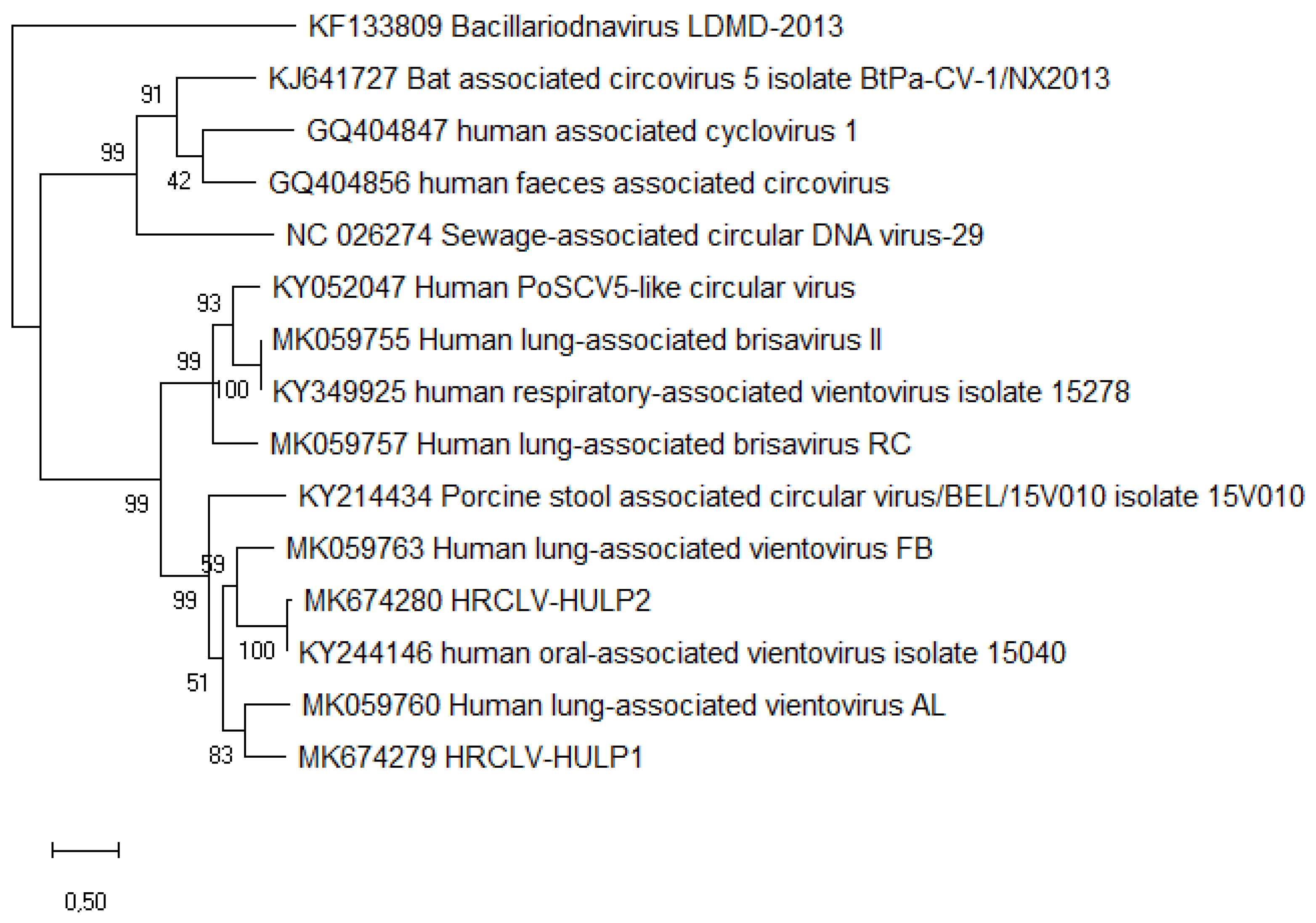 Viruses 12 00327 g001