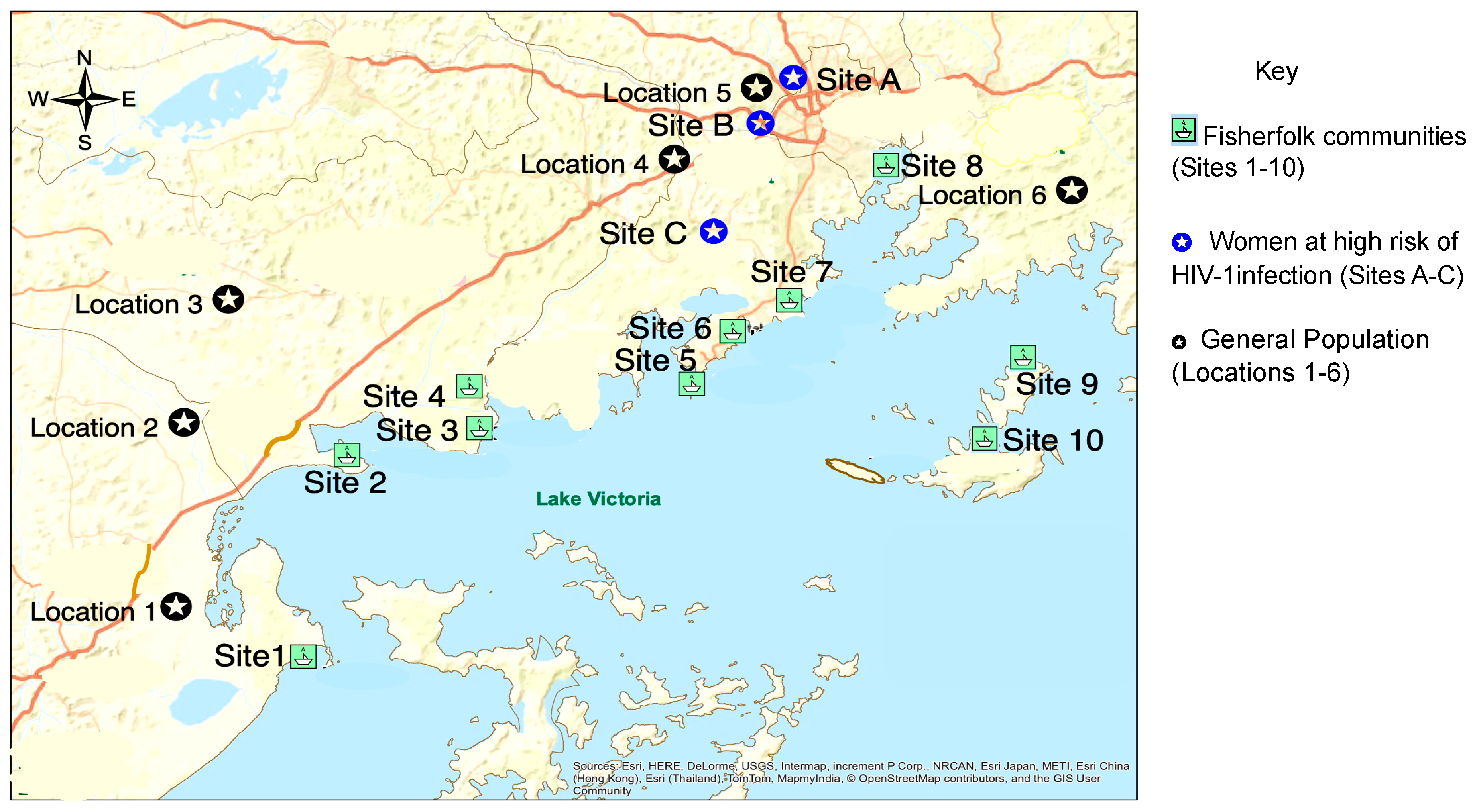 Viruses 12 00331 g001