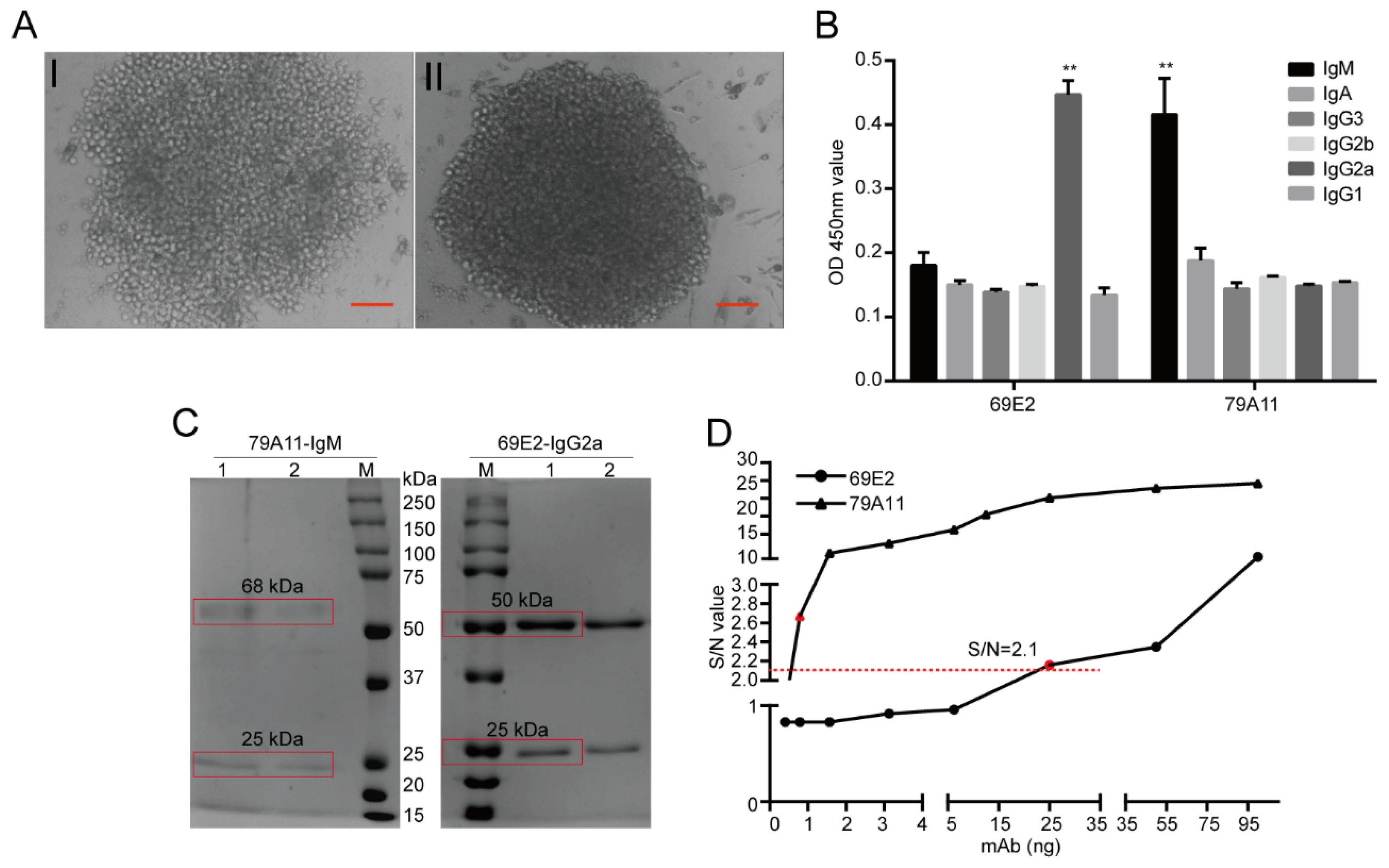 Viruses 12 00333 g002 Viruses 12 00333 g002