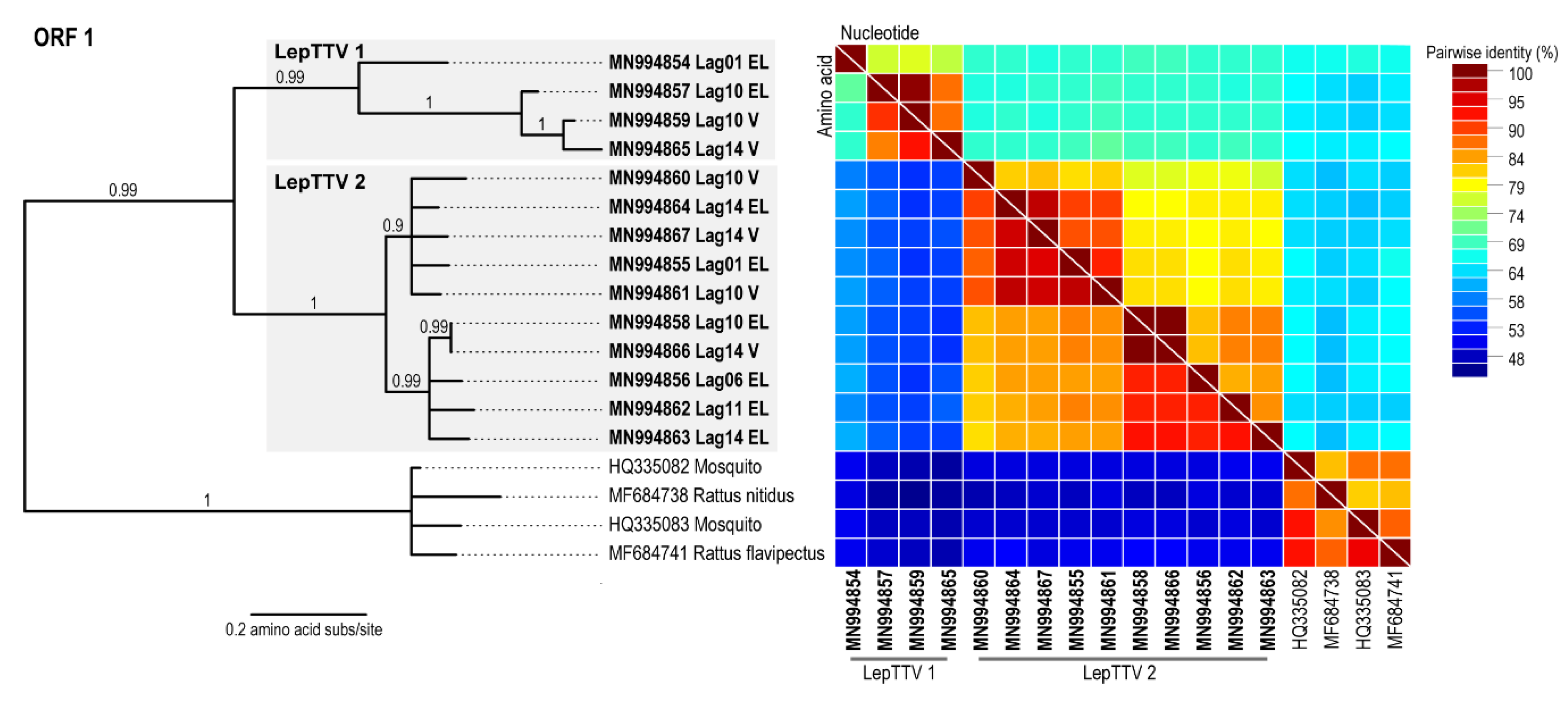 Viruses 12 00340 g002