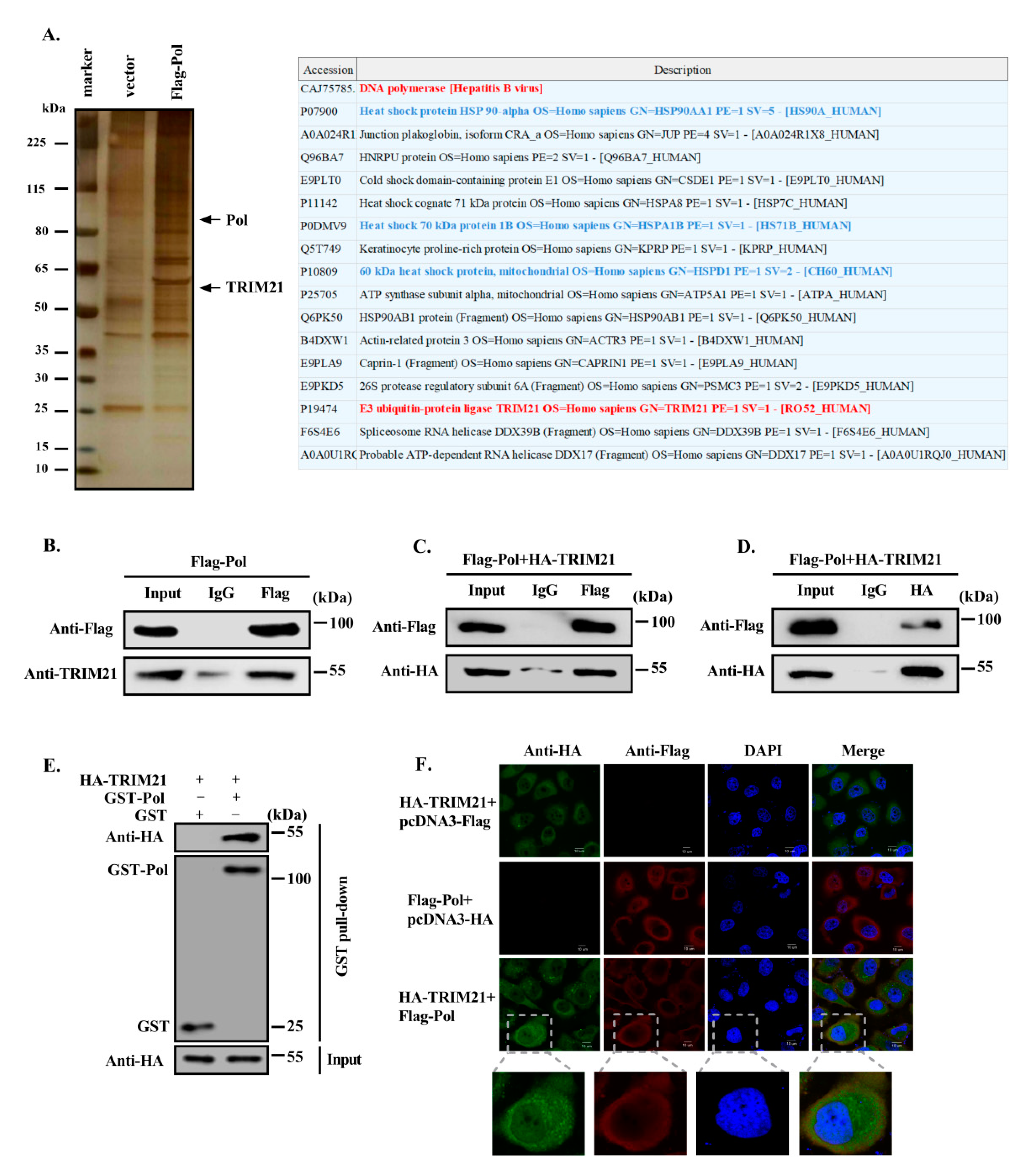 Viruses 12 00346 g001 Viruses 12 00346 g001