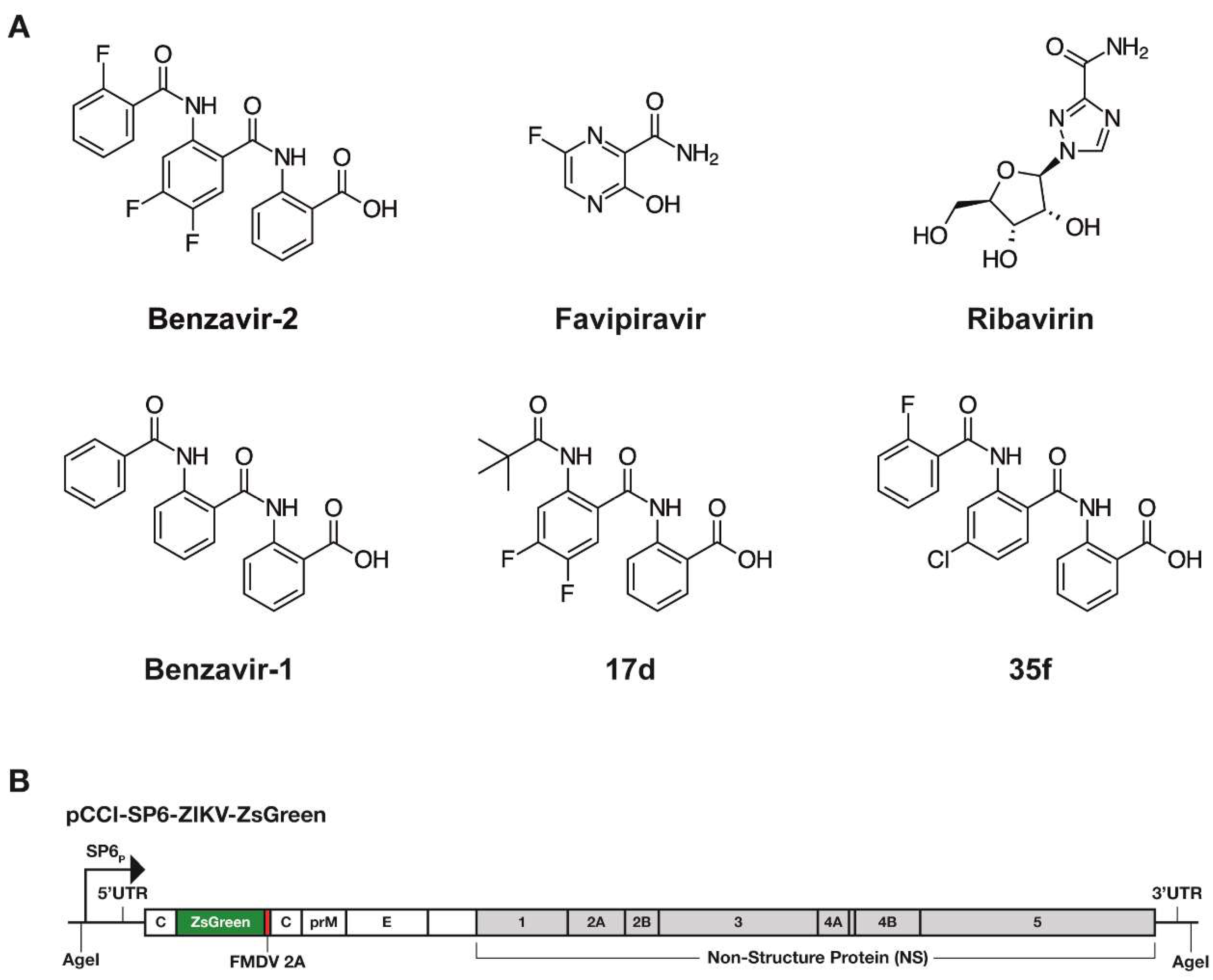 Viruses 12 00351 g001