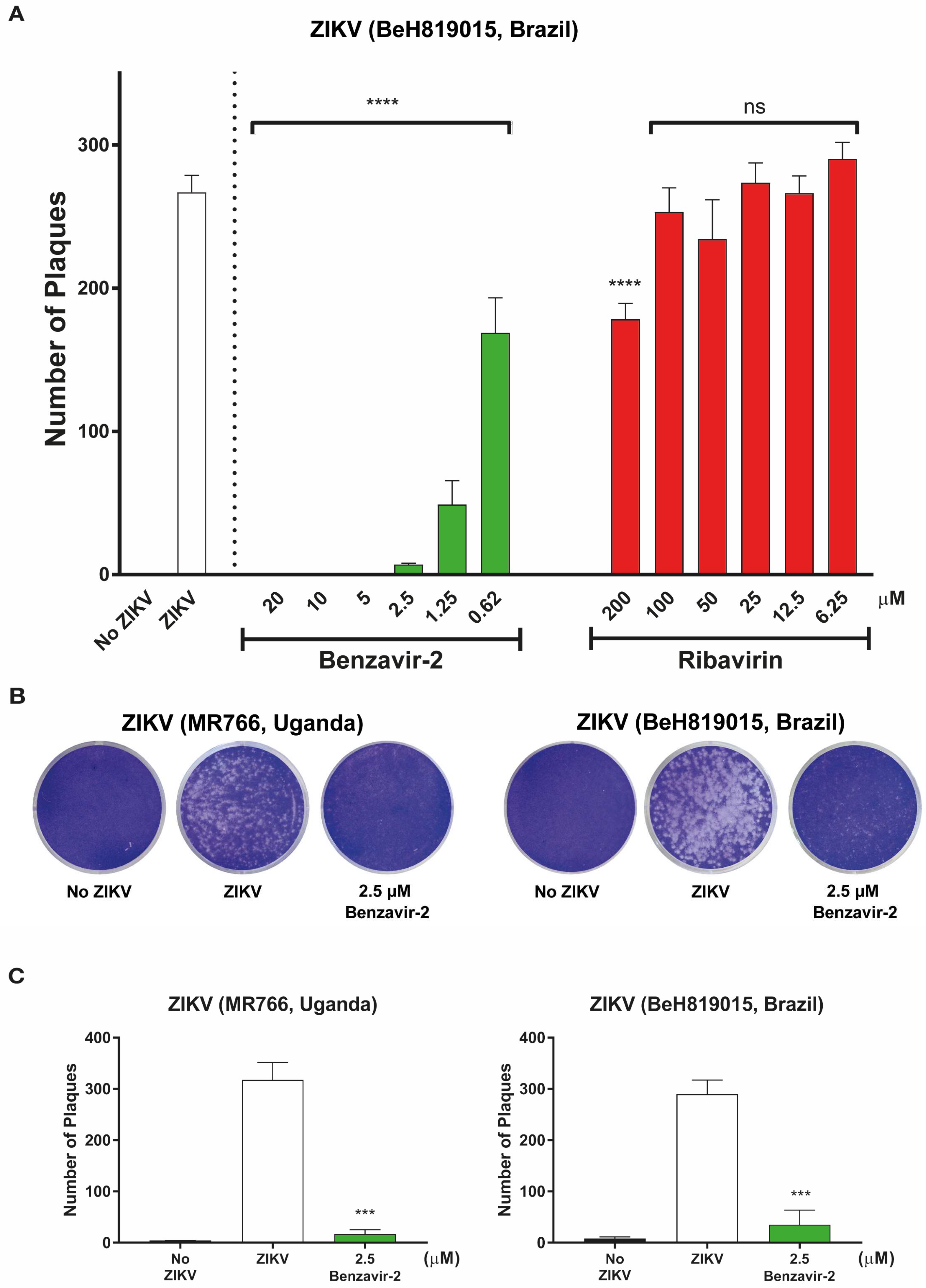 Viruses 12 00351 g003