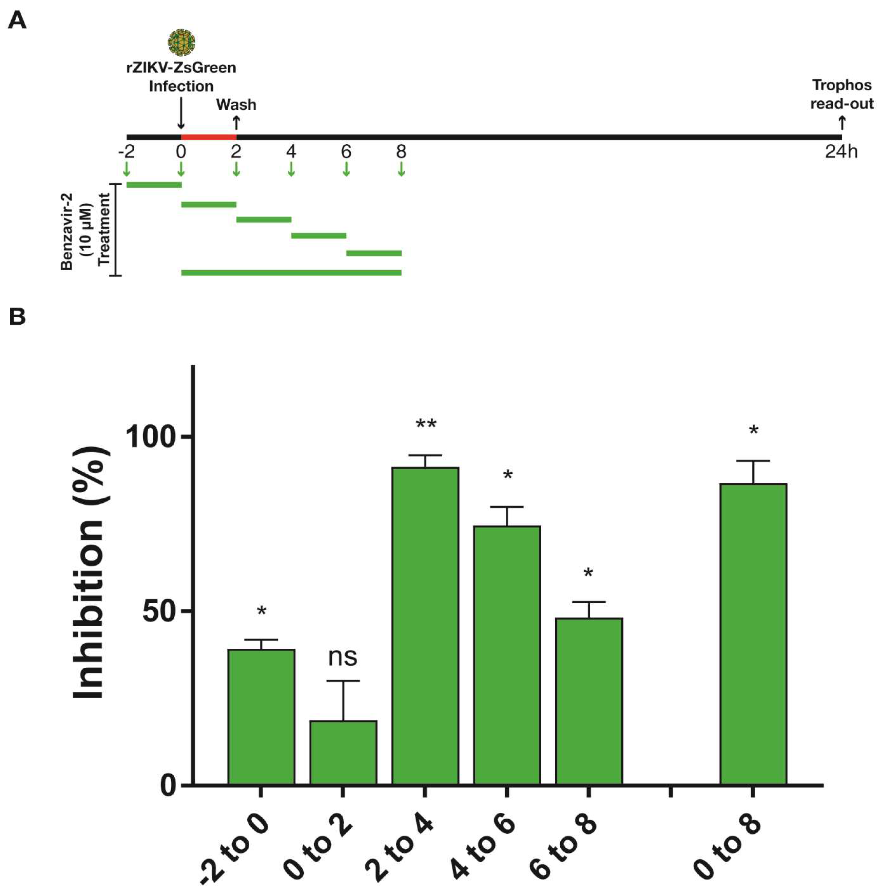 Viruses 12 00351 g005