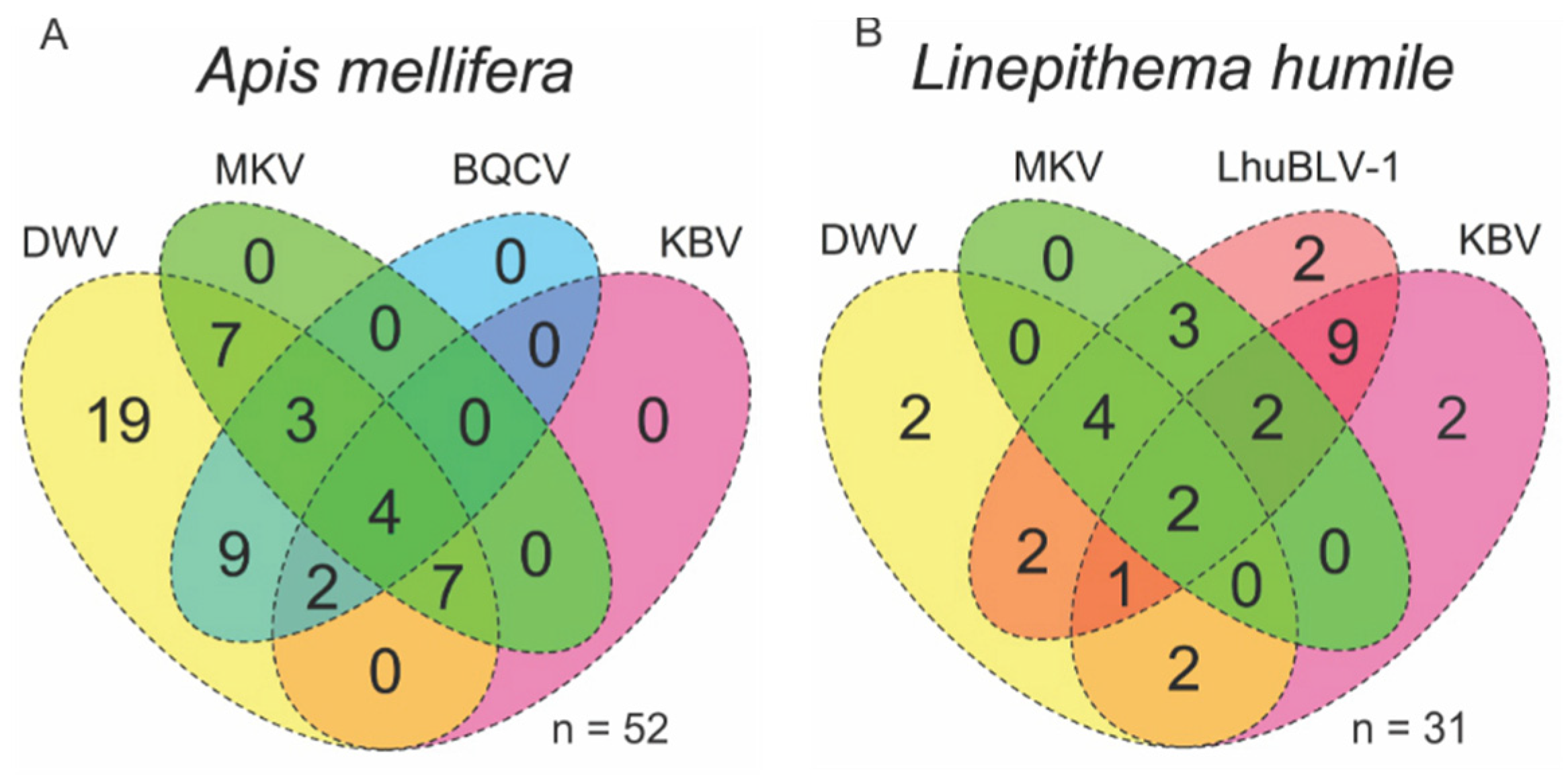 Viruses 12 00358 g001