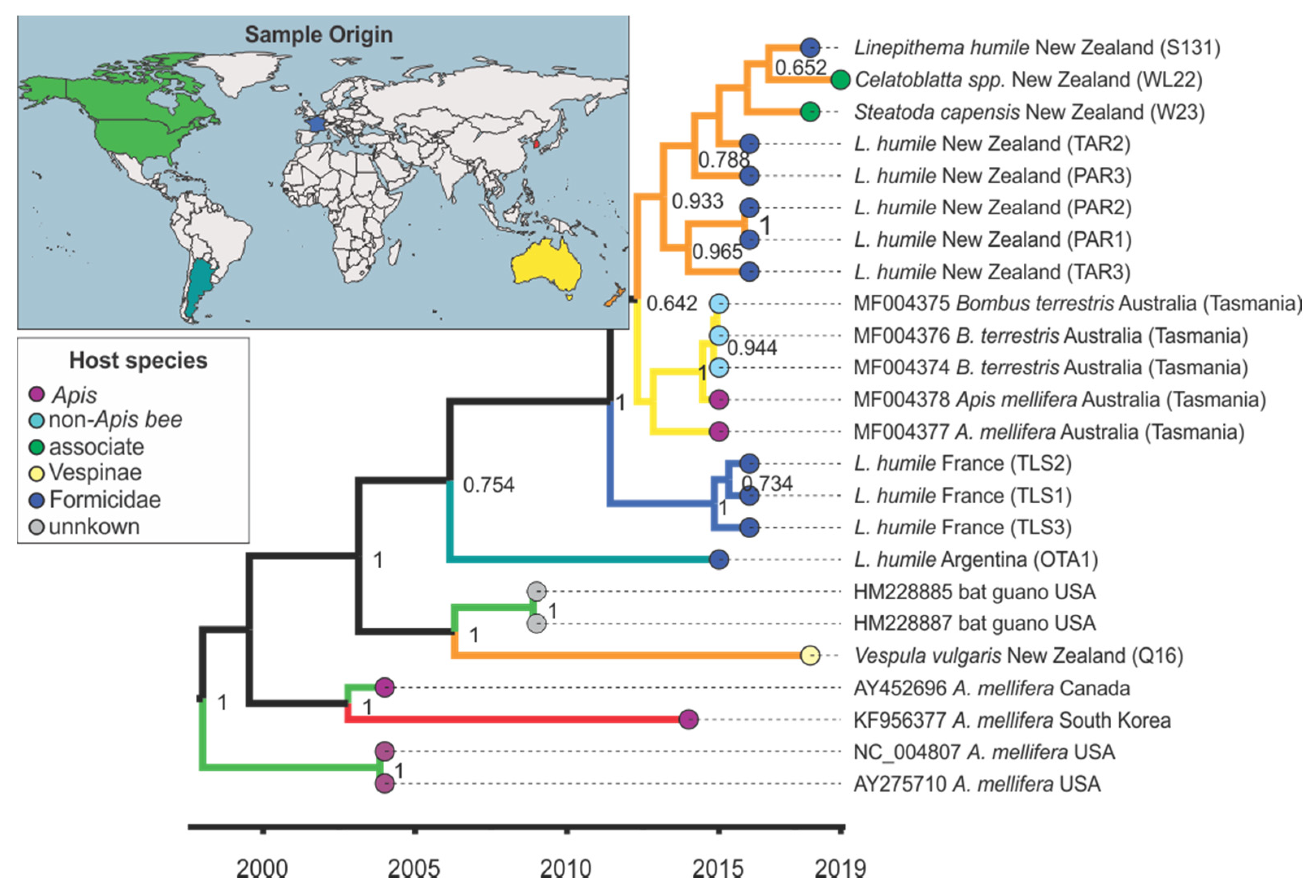 Viruses 12 00358 g003