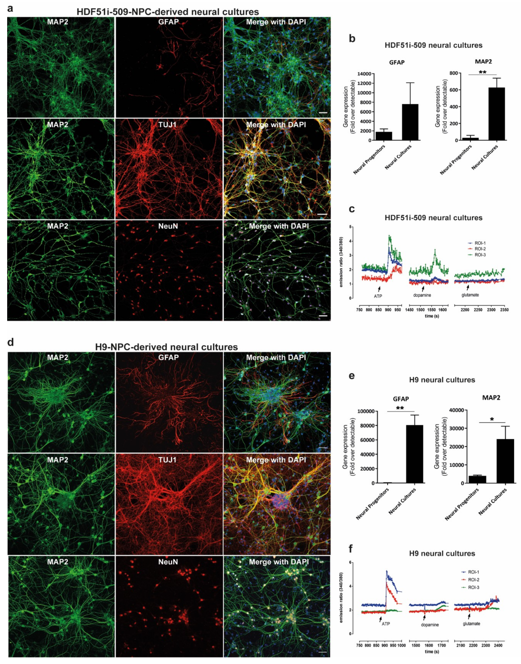 Viruses 12 00359 g001