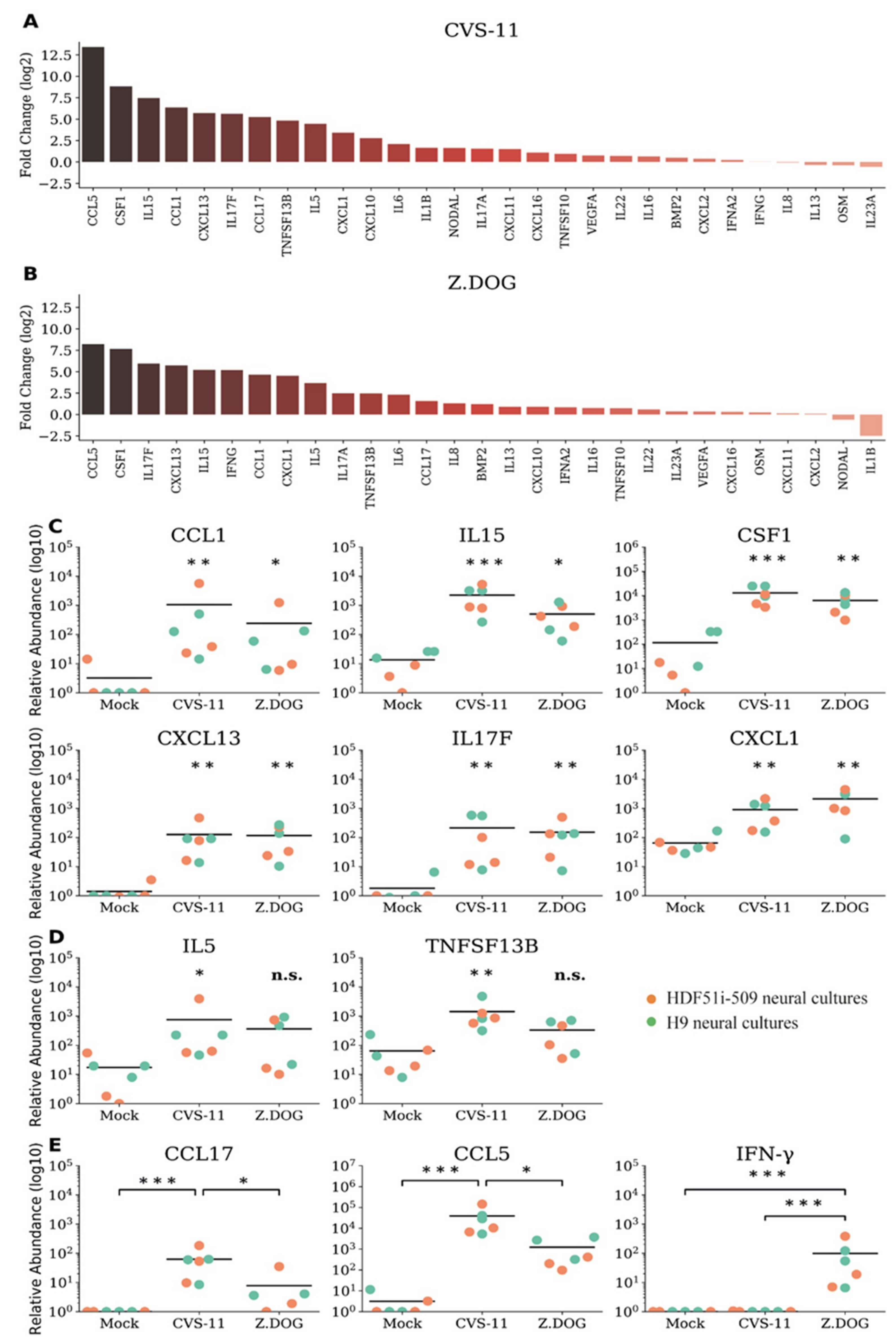 Viruses 12 00359 g004