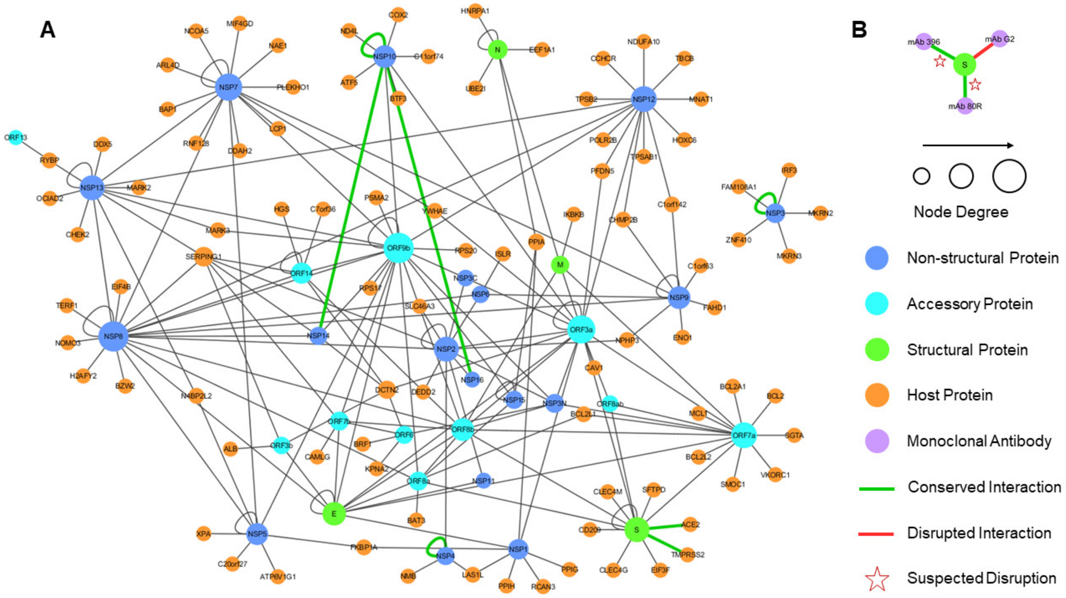 Viruses 12 00360 g006 Viruses 12 00360 g006