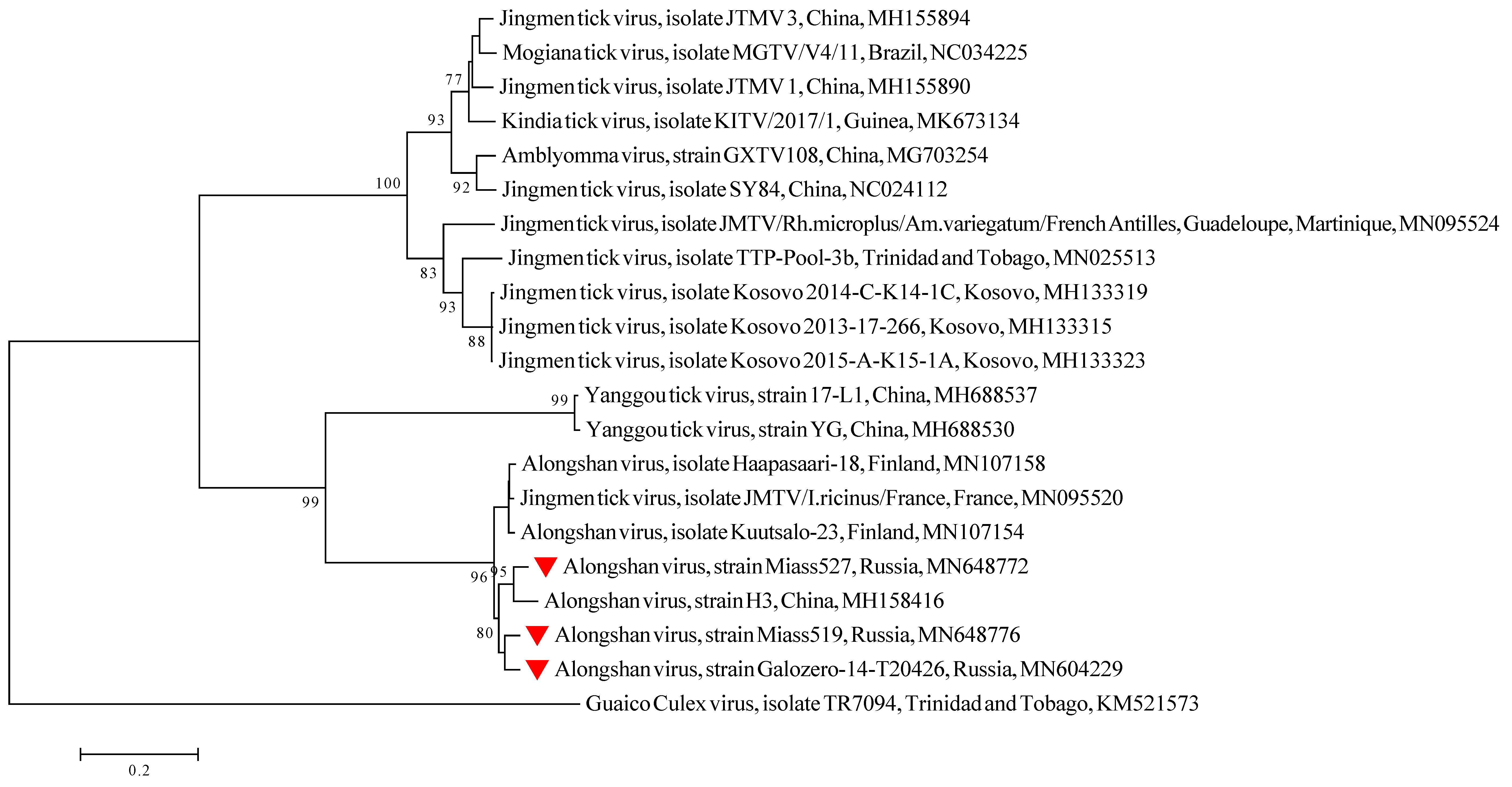 Viruses 12 00362 g002