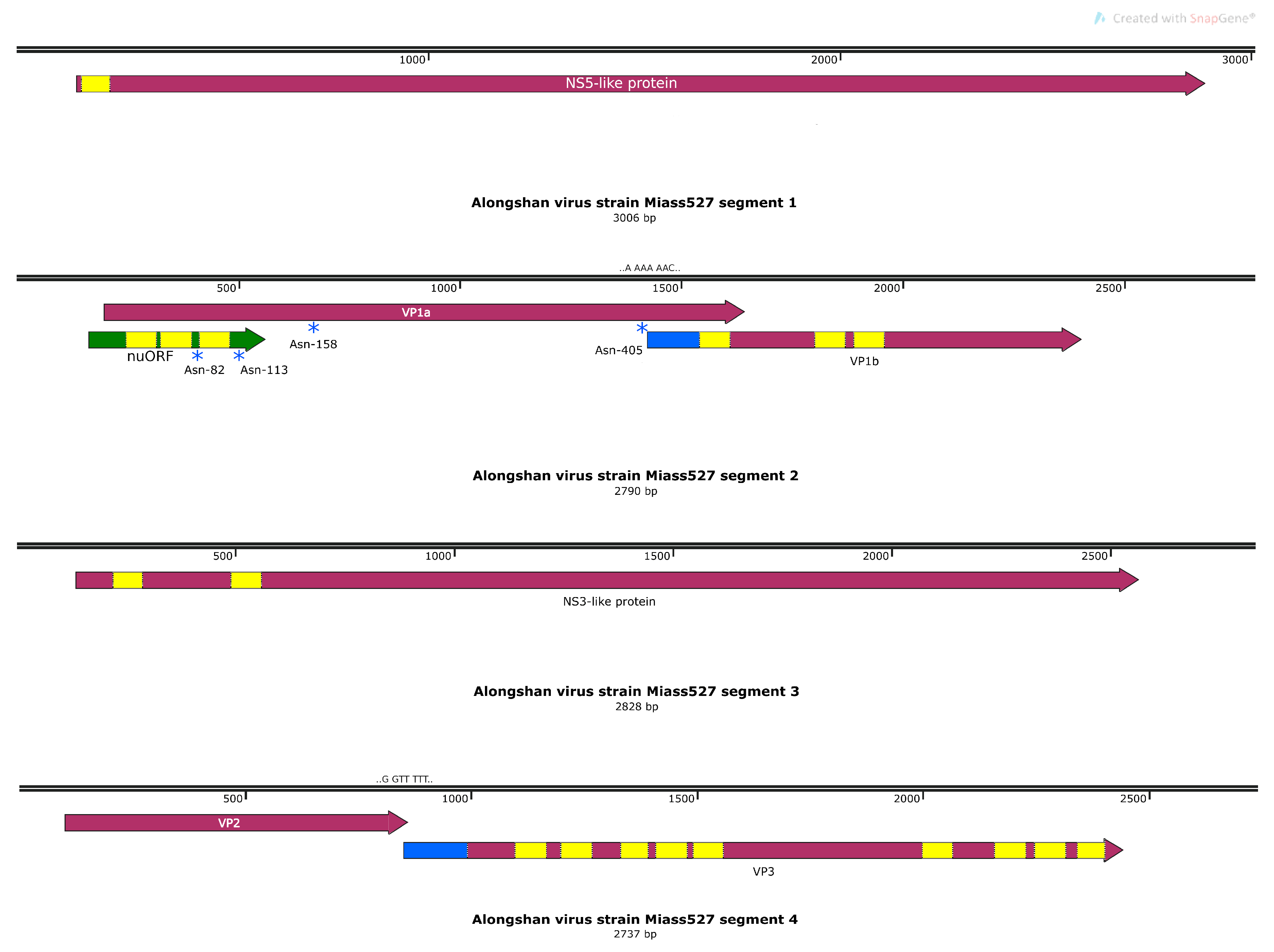Viruses 12 00362 g005