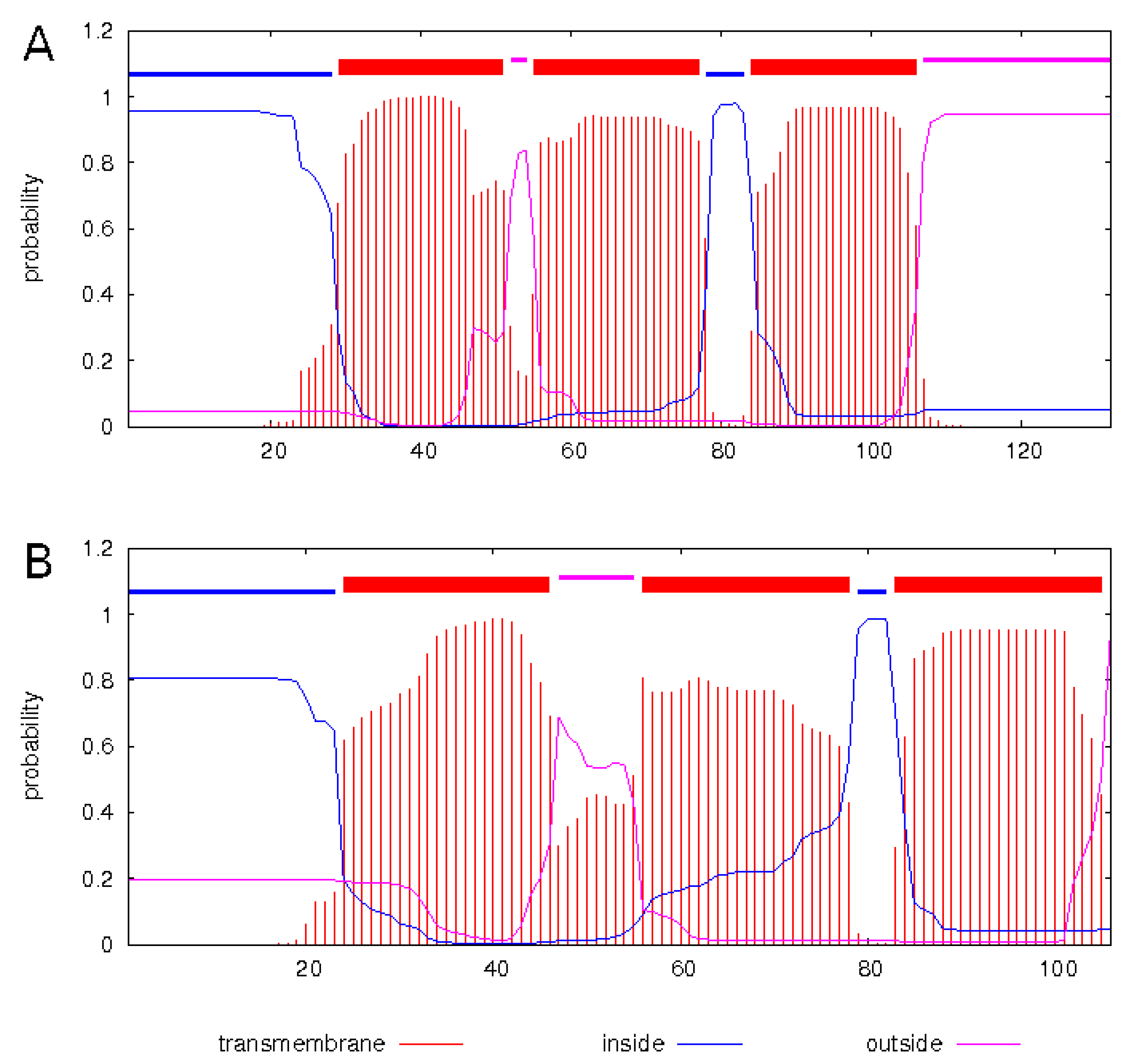 Viruses 12 00362 g007