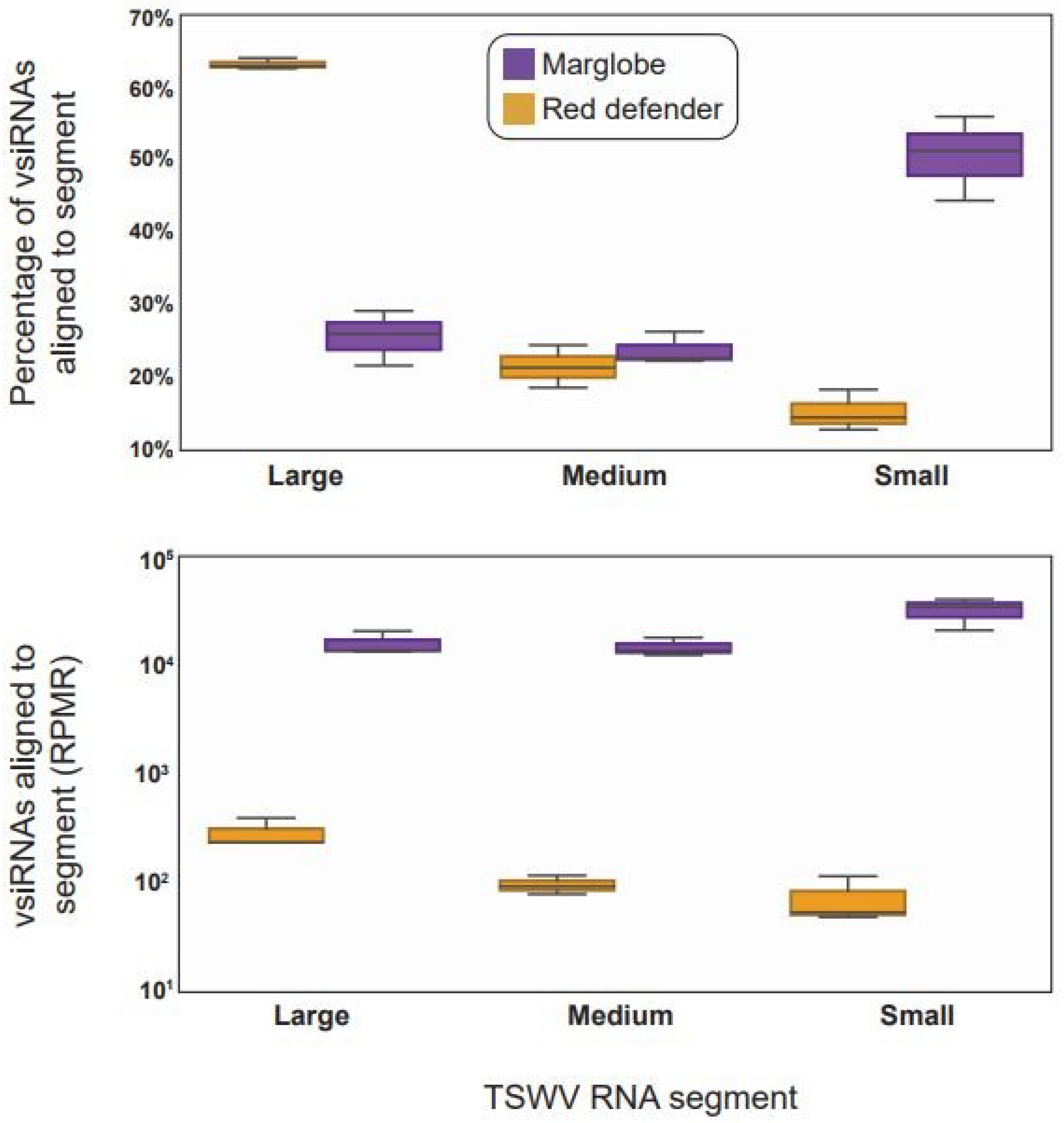 Viruses 12 00363 g004 Viruses 12 00363 g004